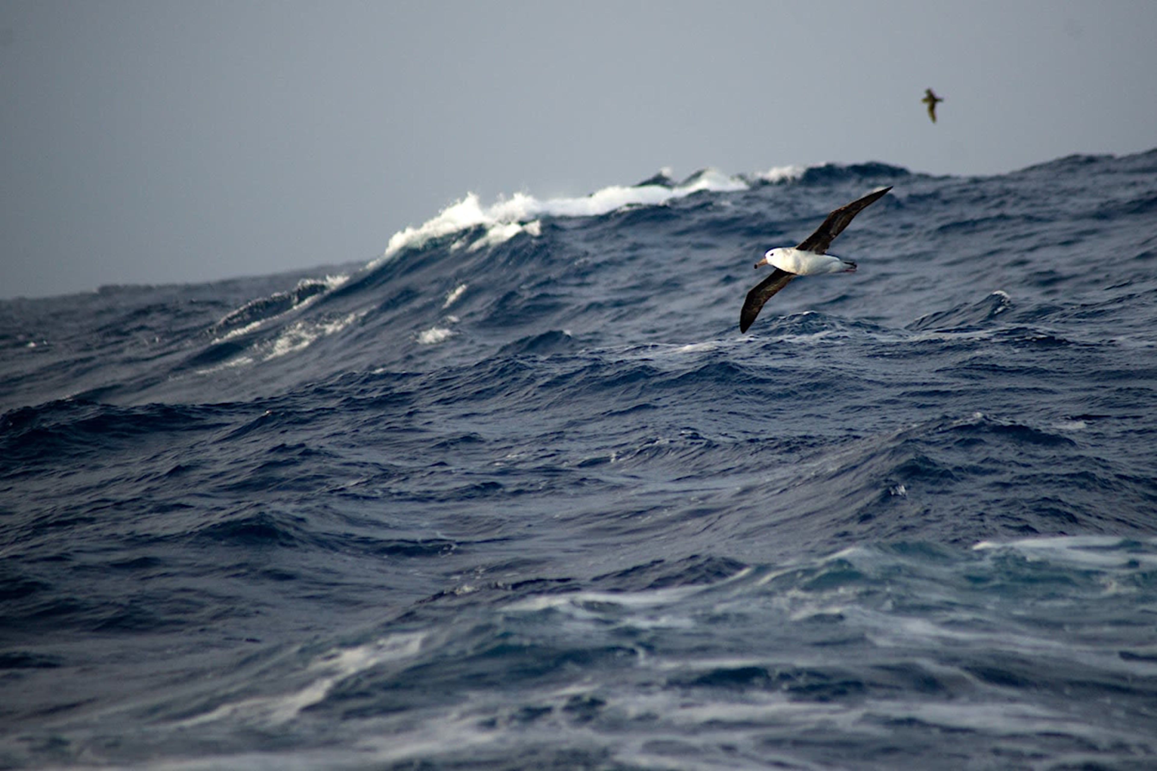Drake Passage