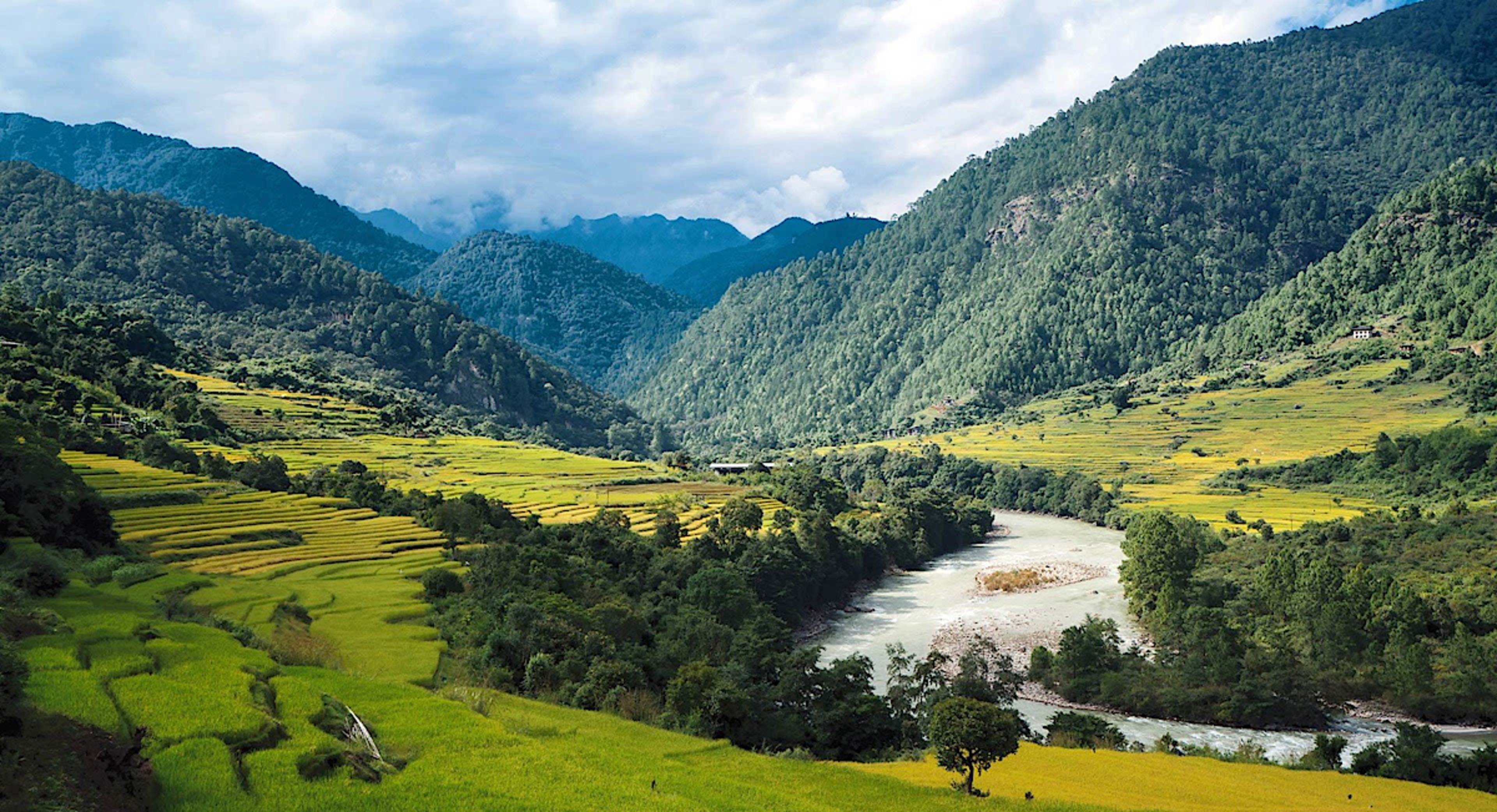 Punakha