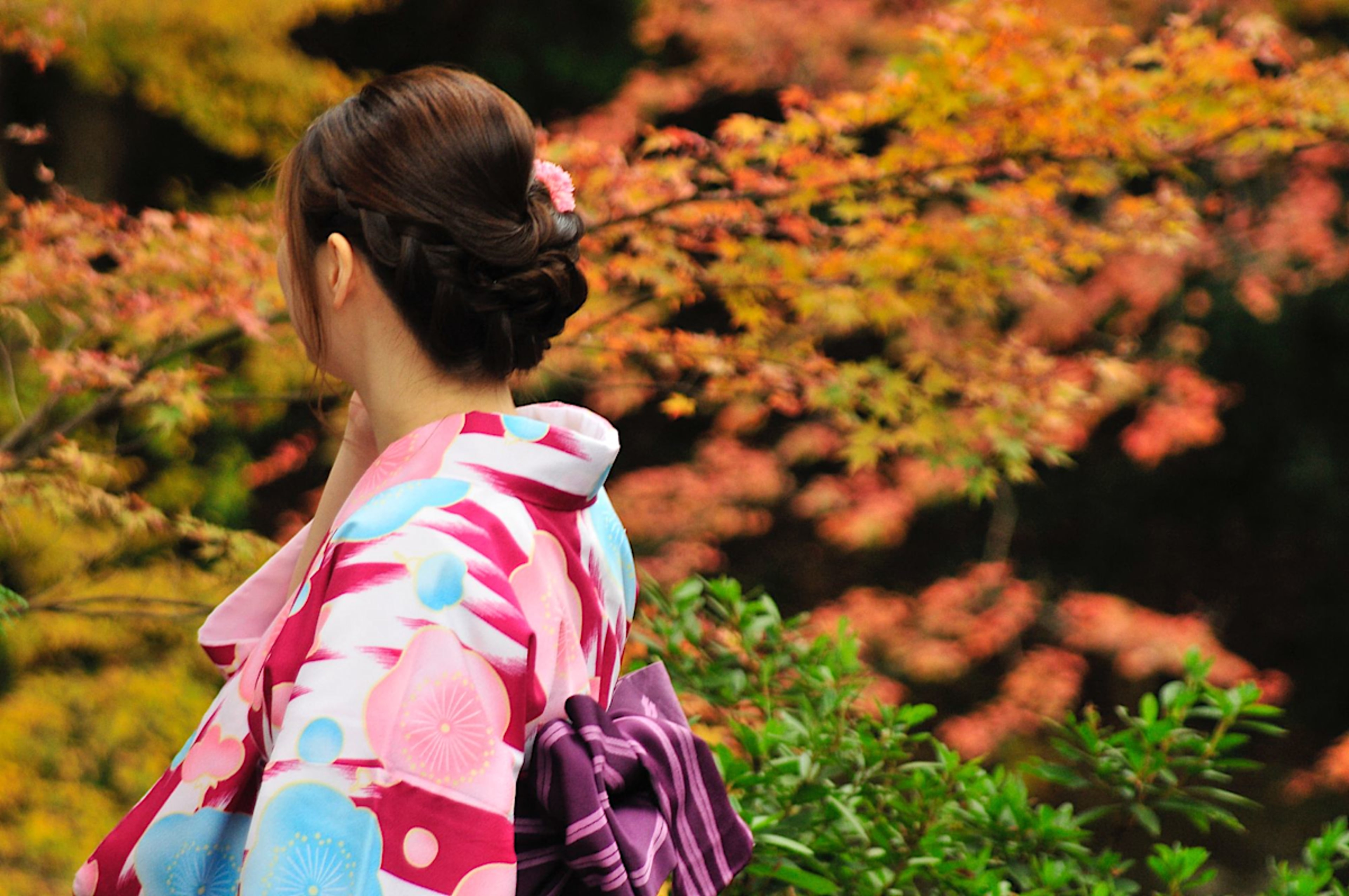 Fall Foliage