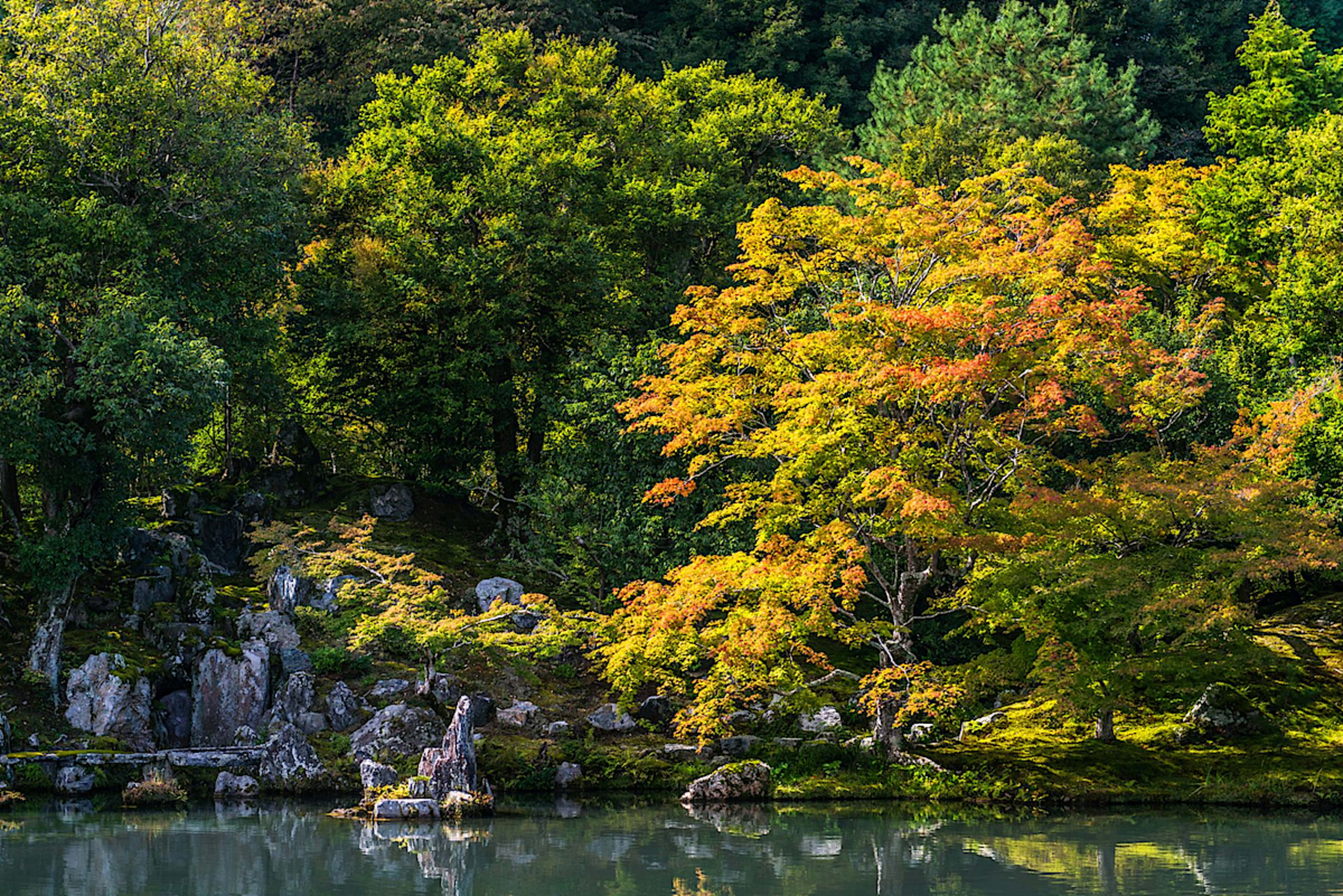 Ryoan-Ji Garden