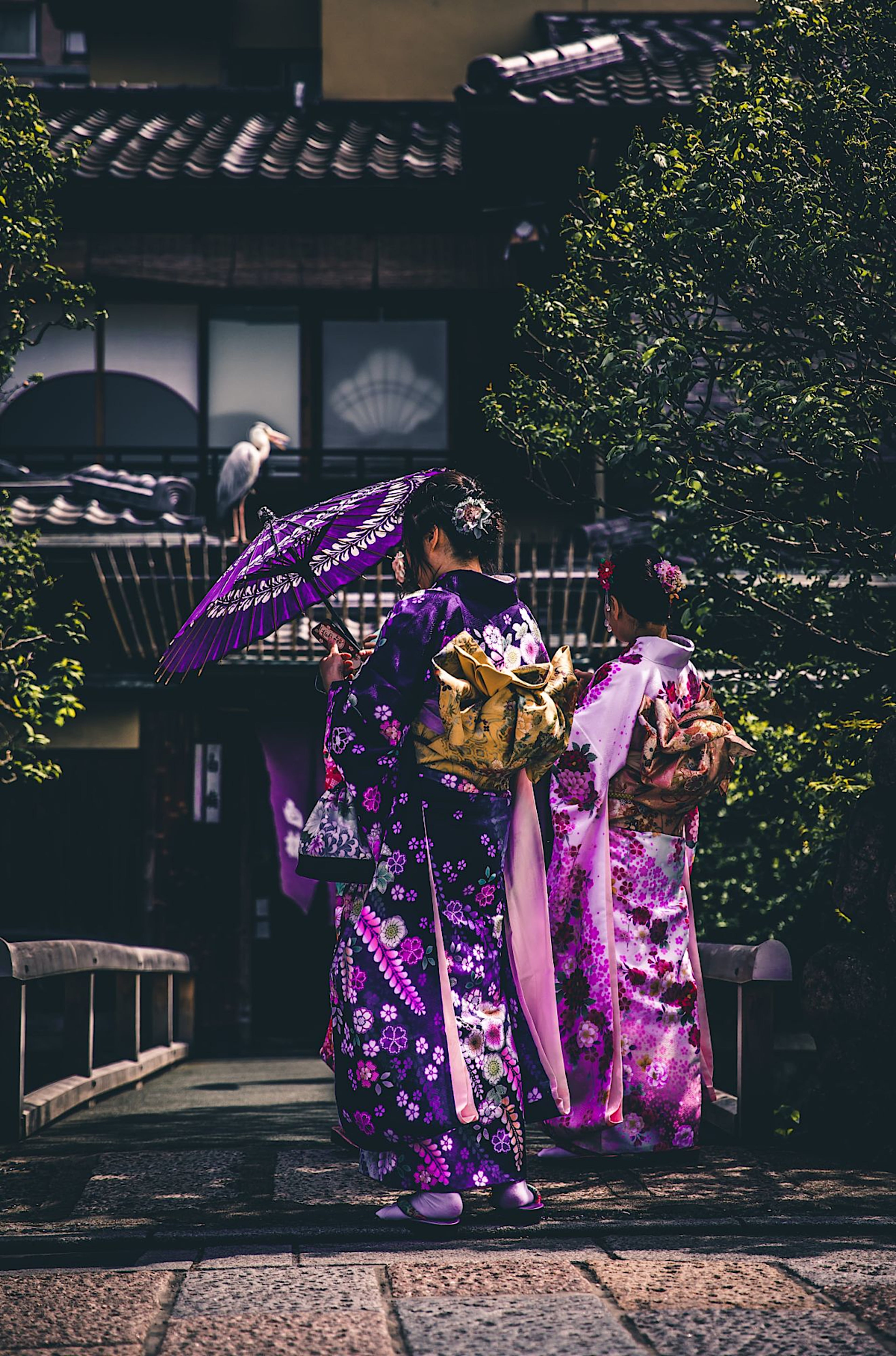 Japanese Women 