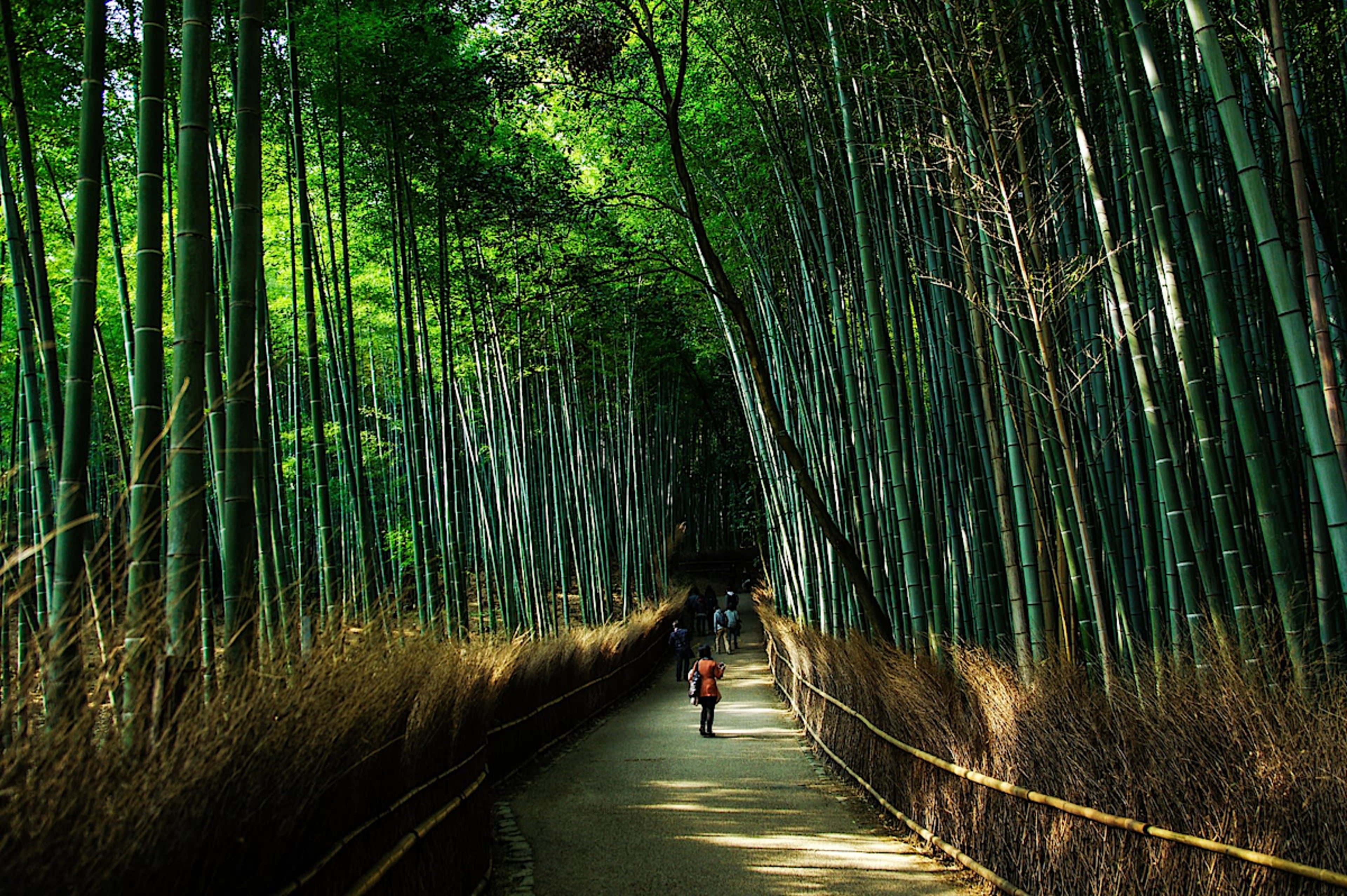 Arashiyama