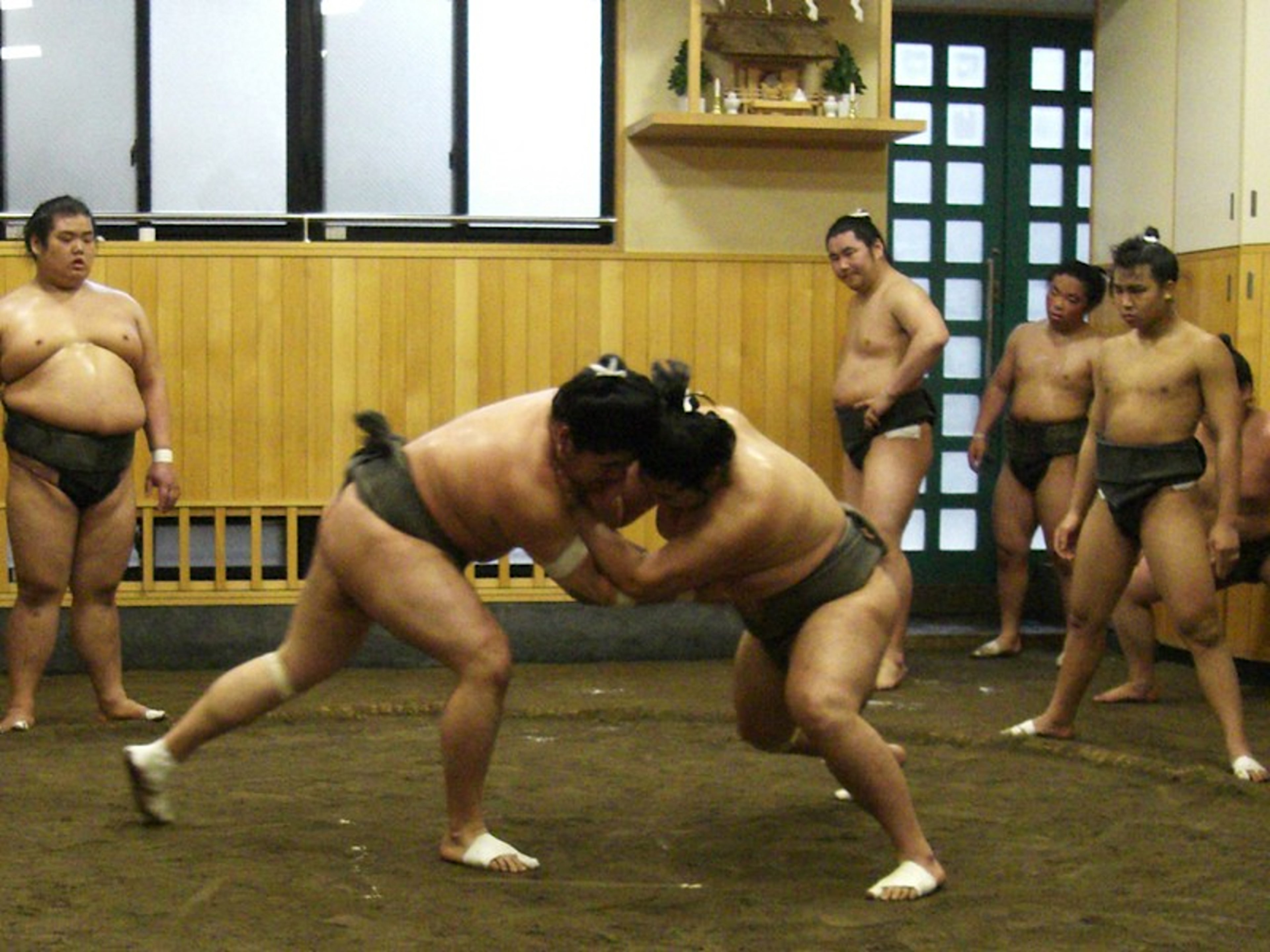 Sumo Training