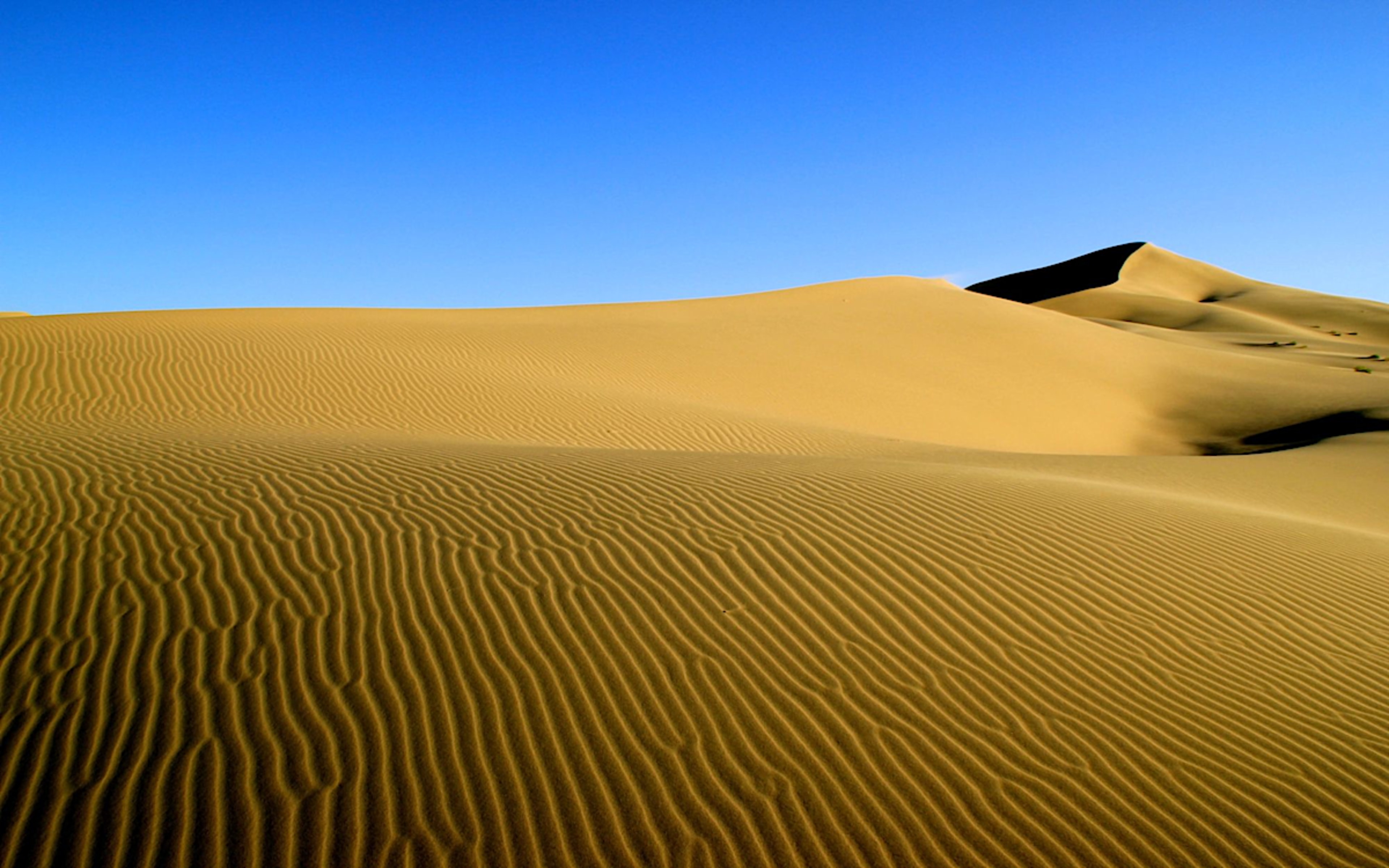 Khongor Sand Dune