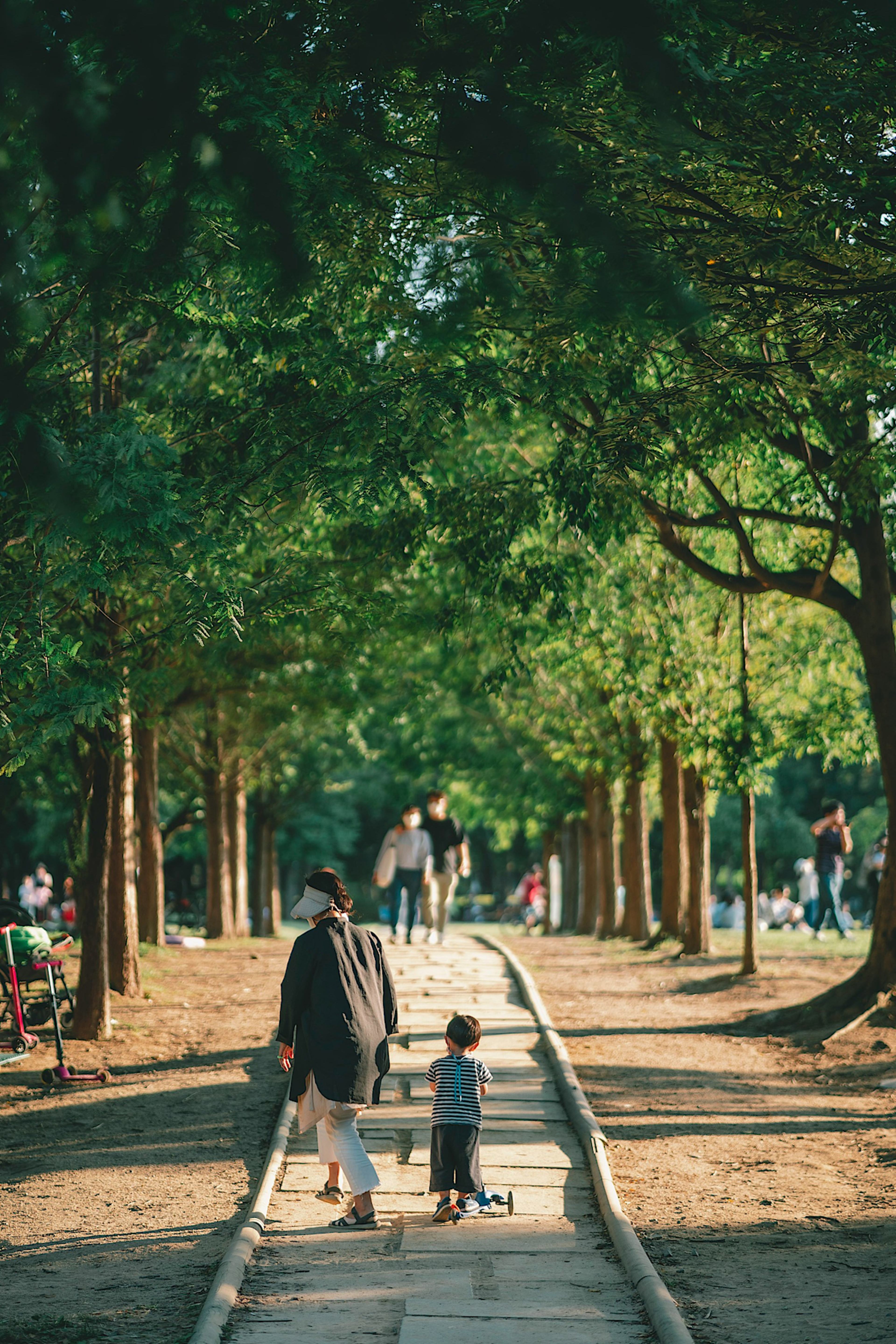 Seoul Forest