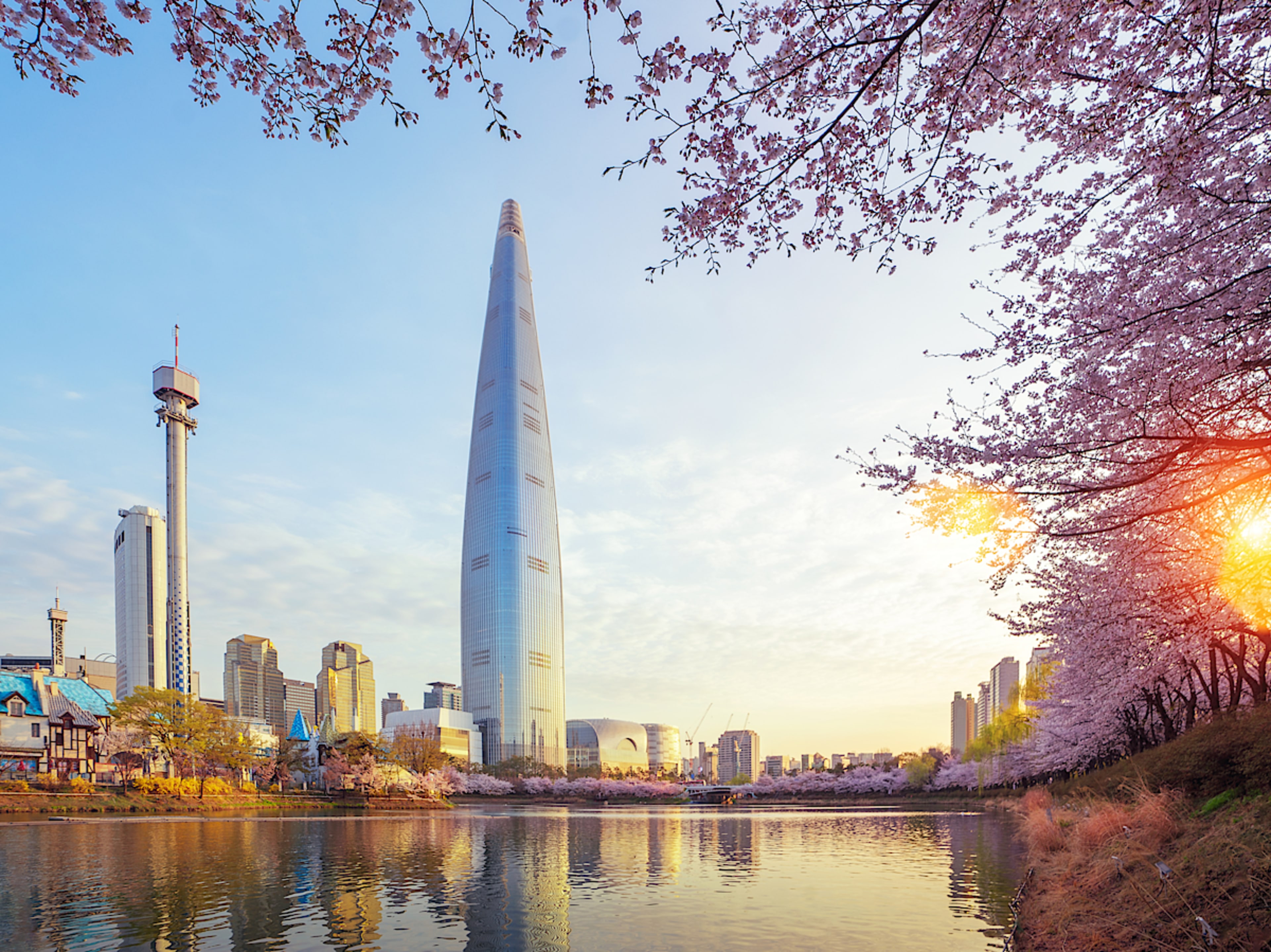 Cherry Blossoms at Seokchon Lake