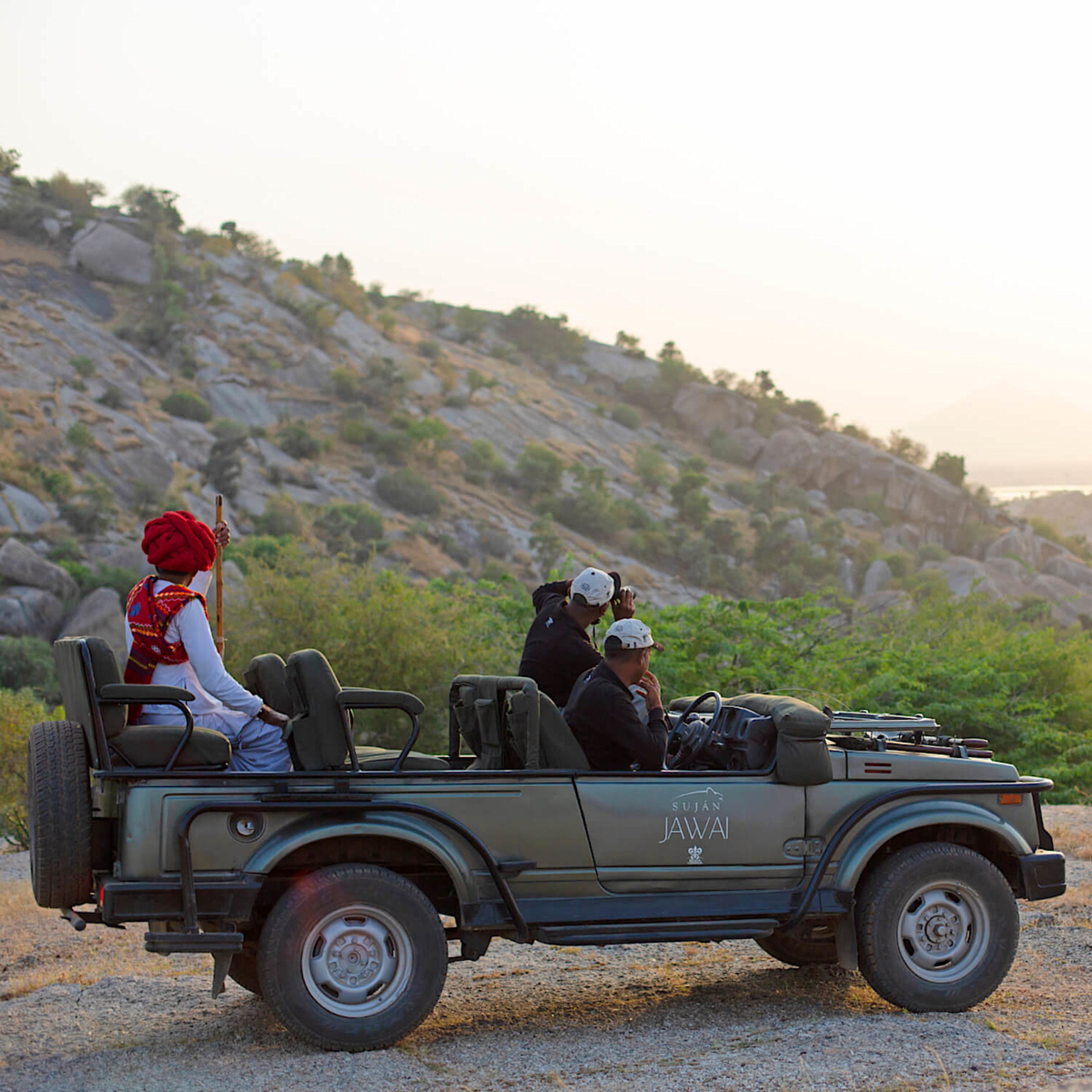 Wilderness Drive at Sujan Jawai