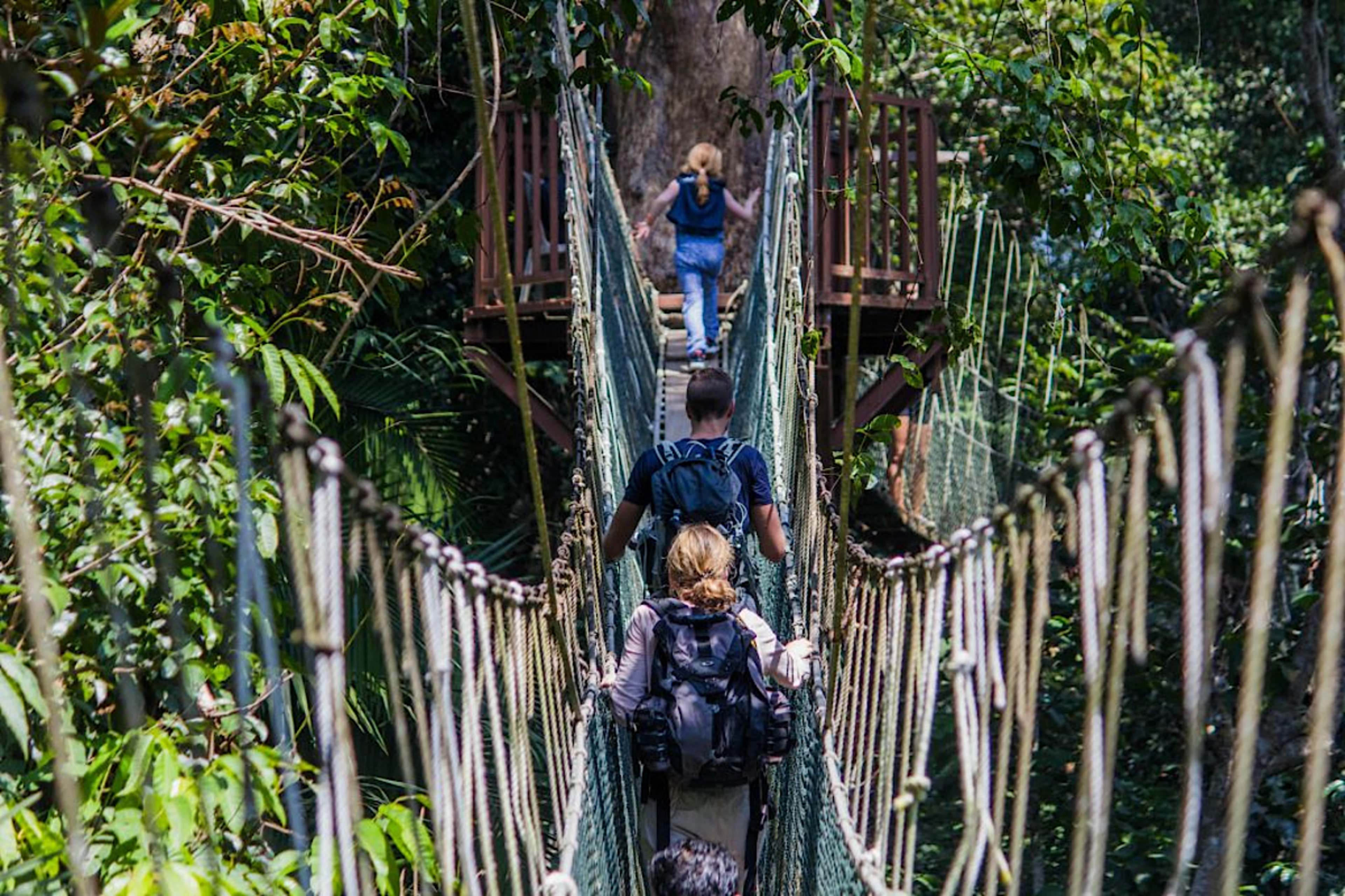 Canopy Walkway