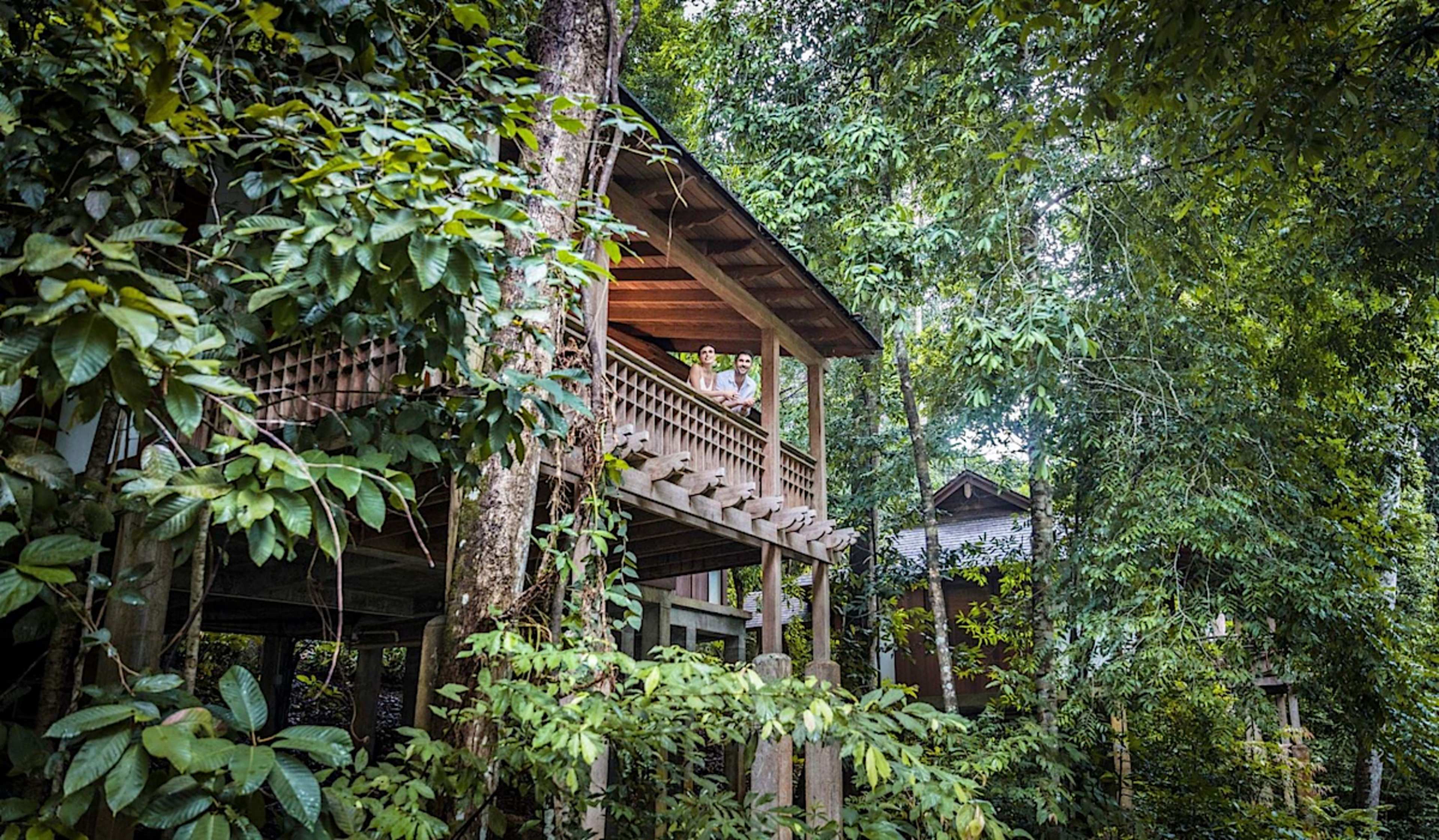 Rainforest Villa