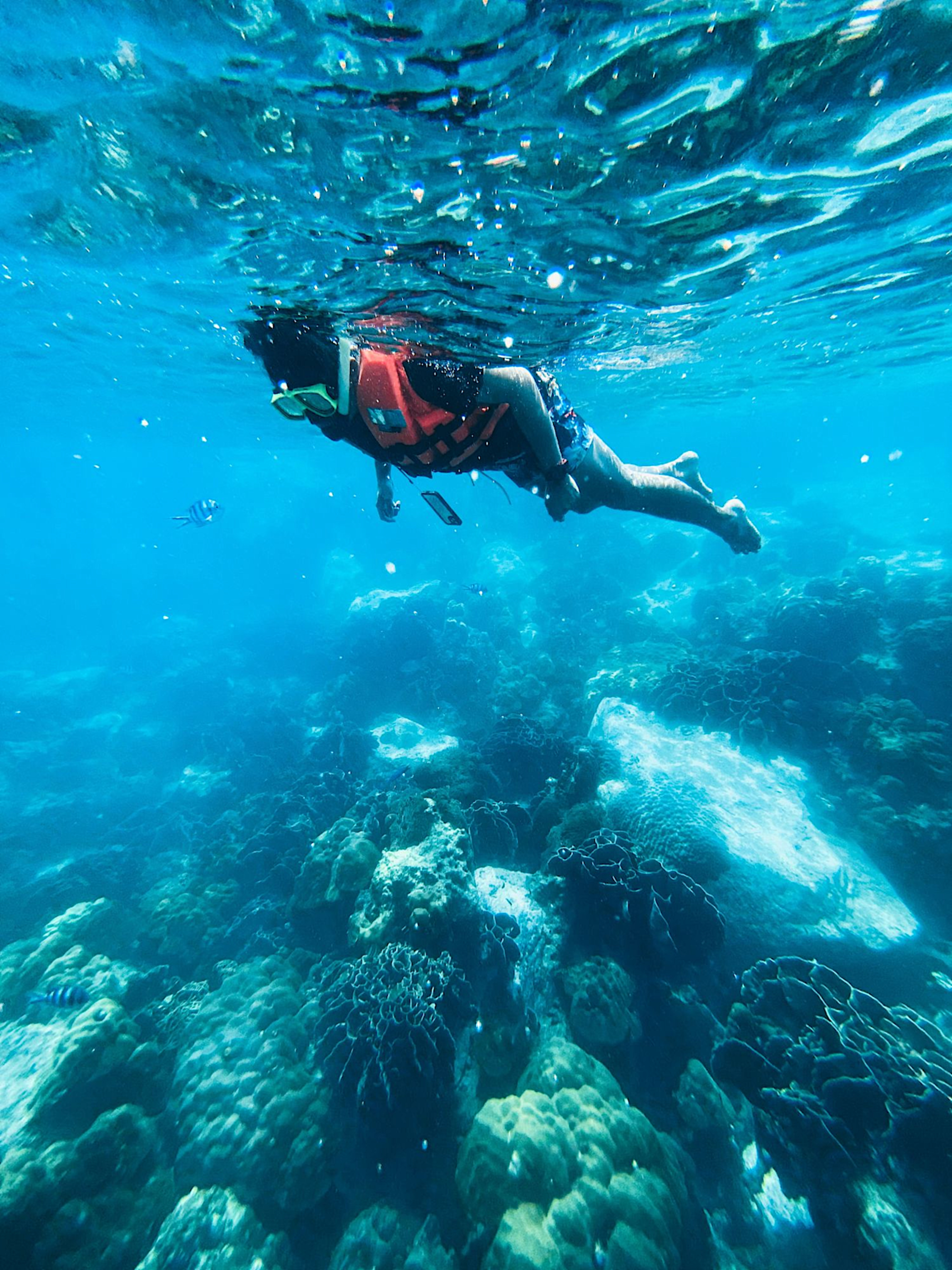 Snorkeling in Cebu