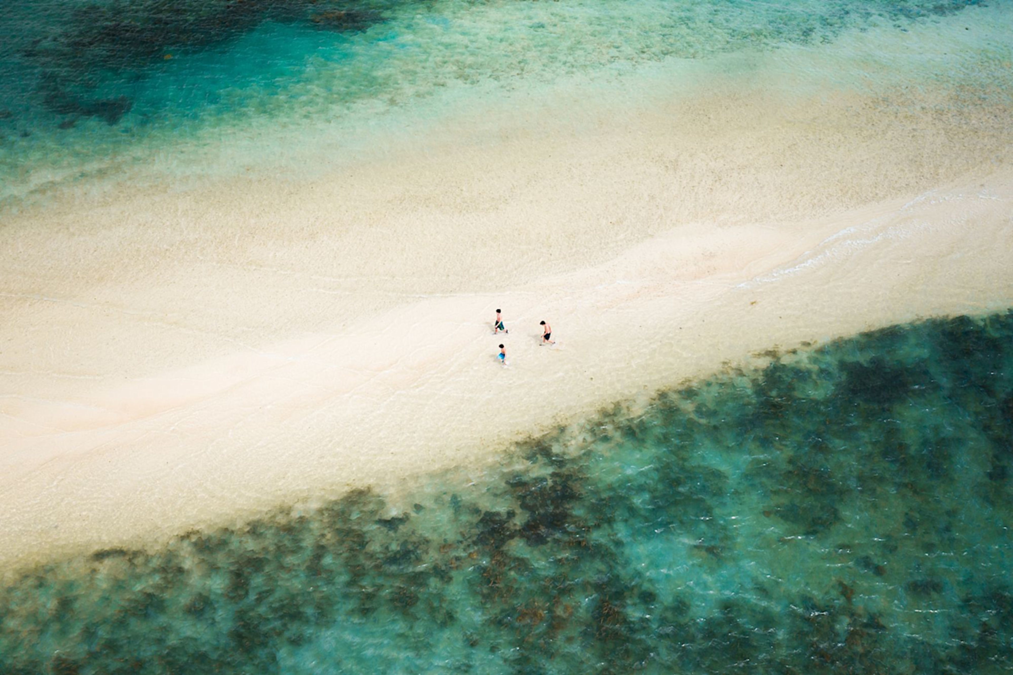 EL NIDO