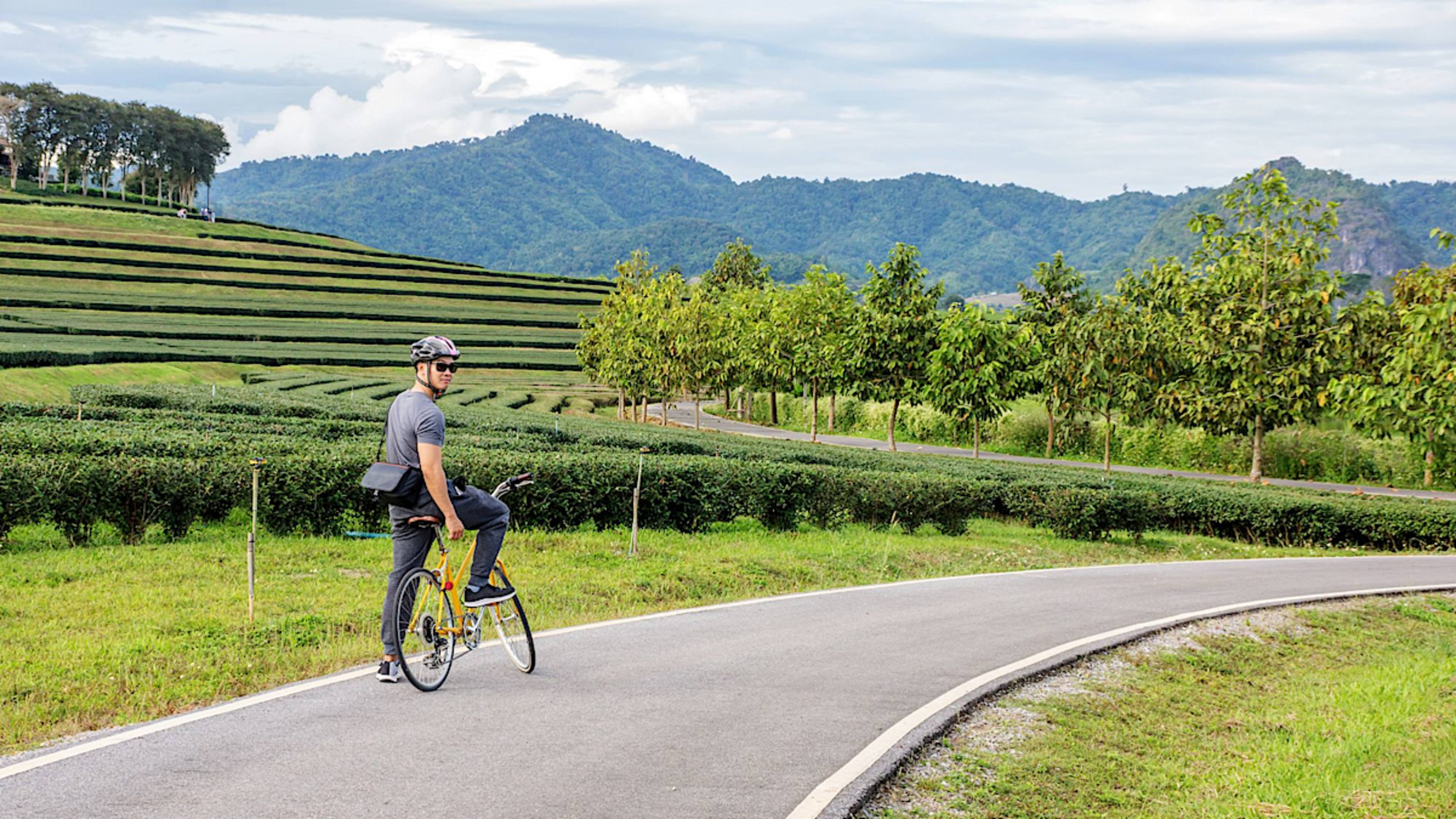 Cycling Chiang Mai's Countryside