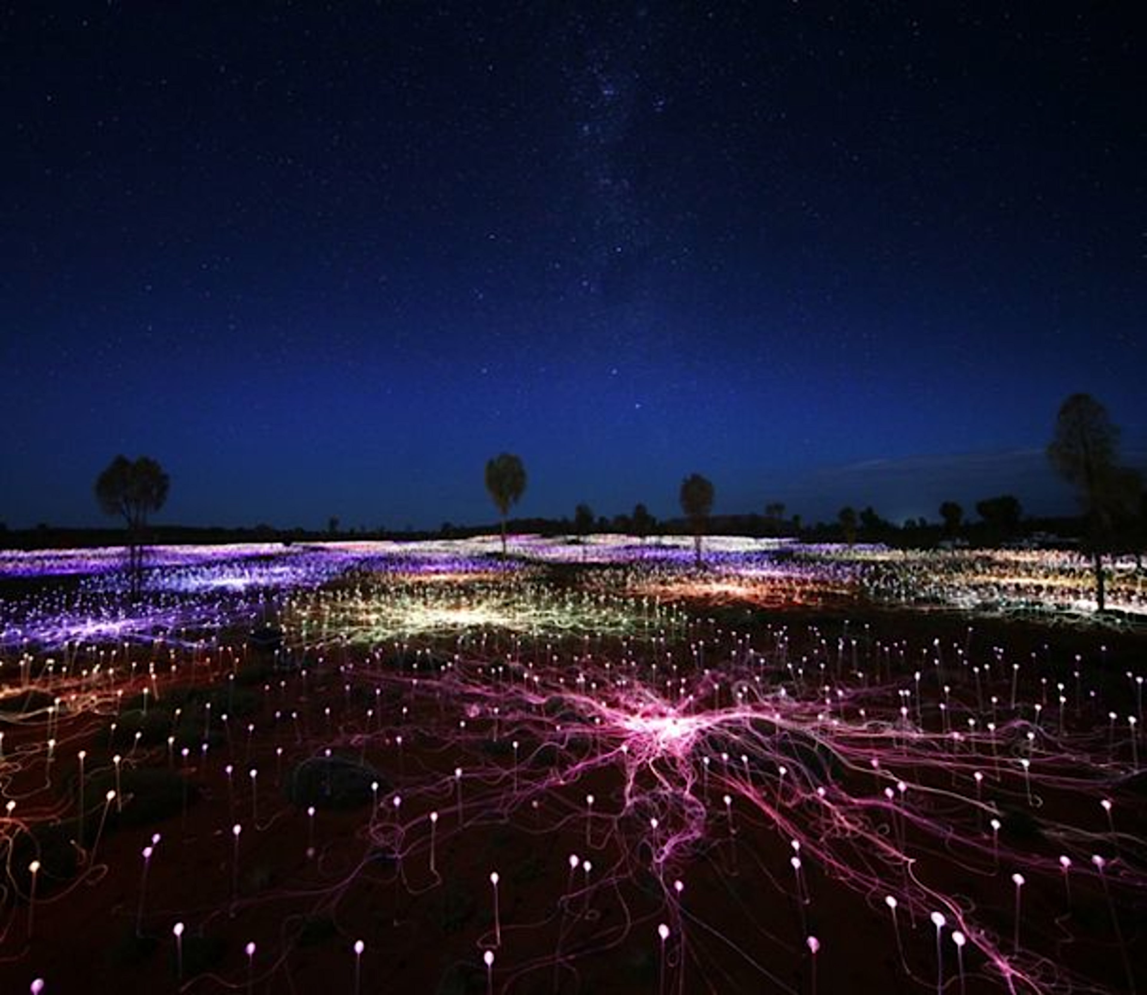 A Night At Field Of Light