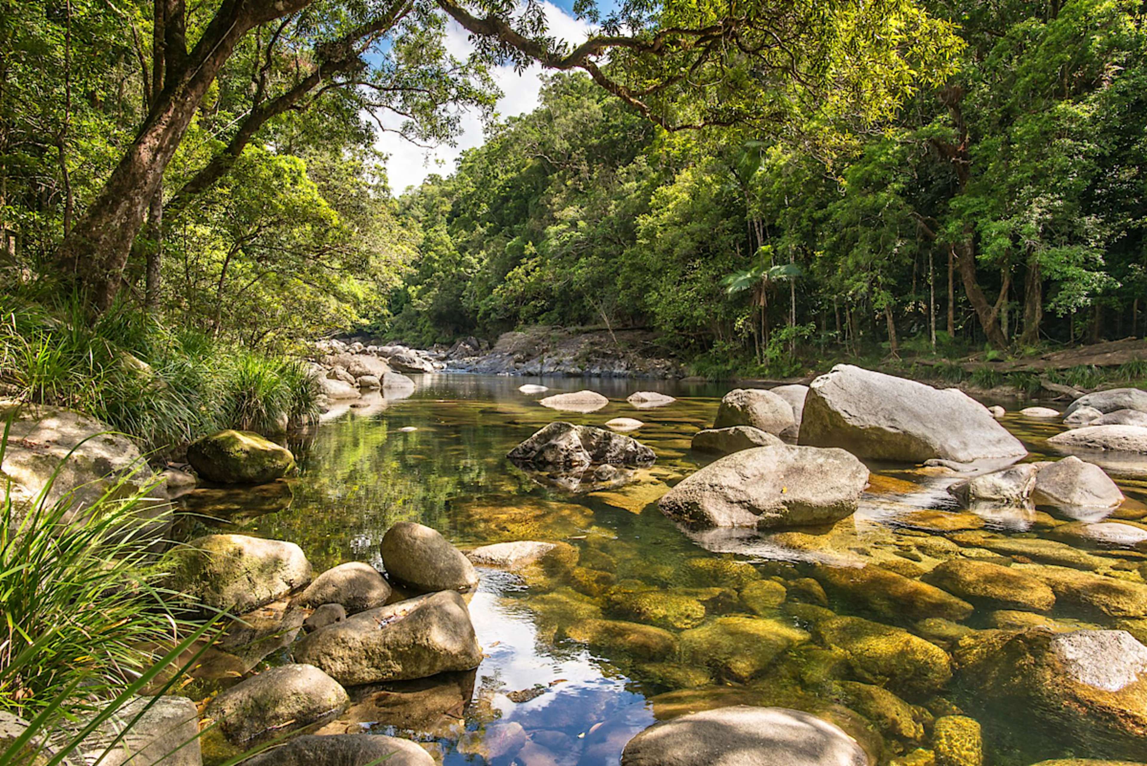 Mossman River Lookout