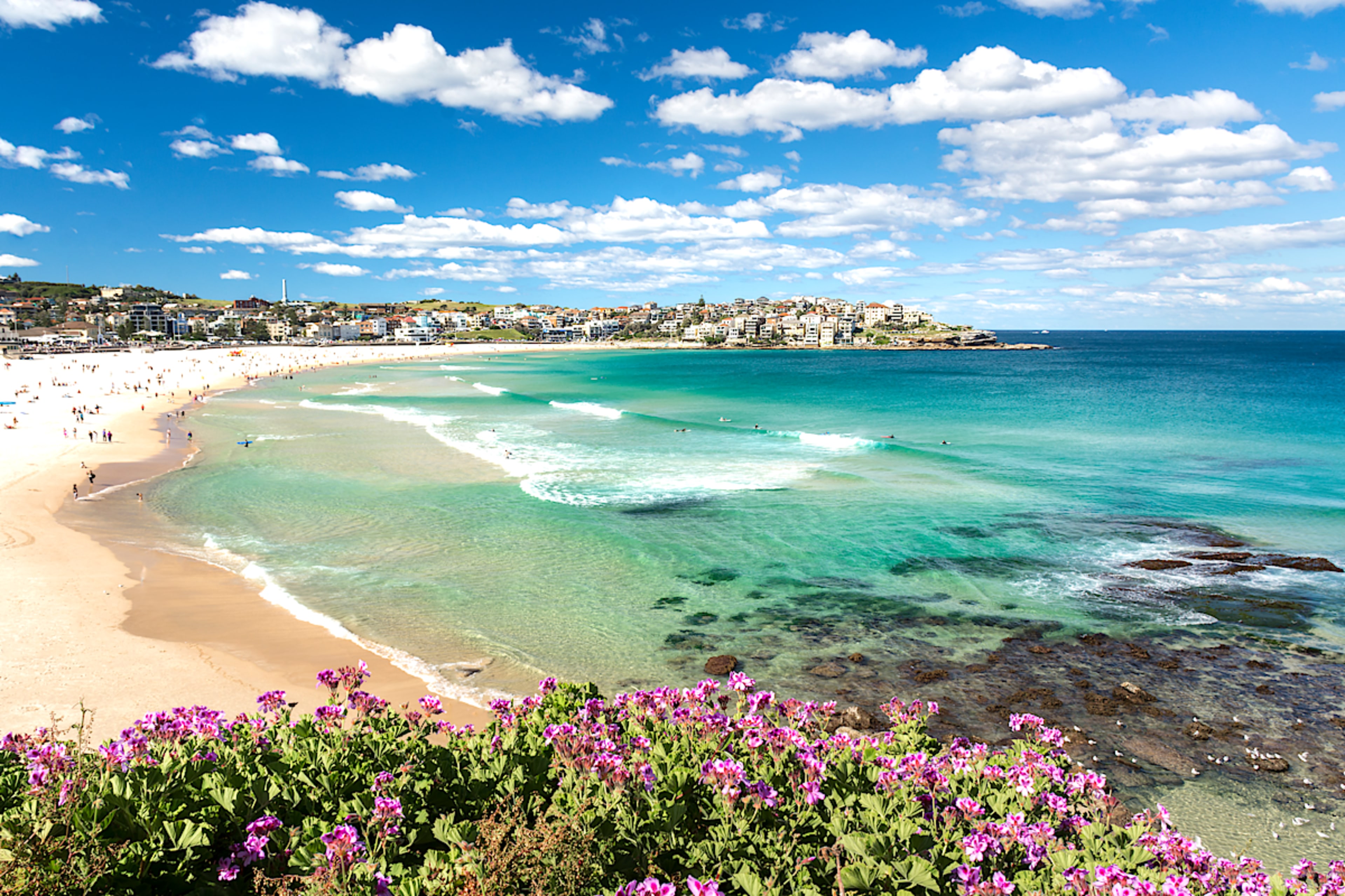 Bondi Beach
