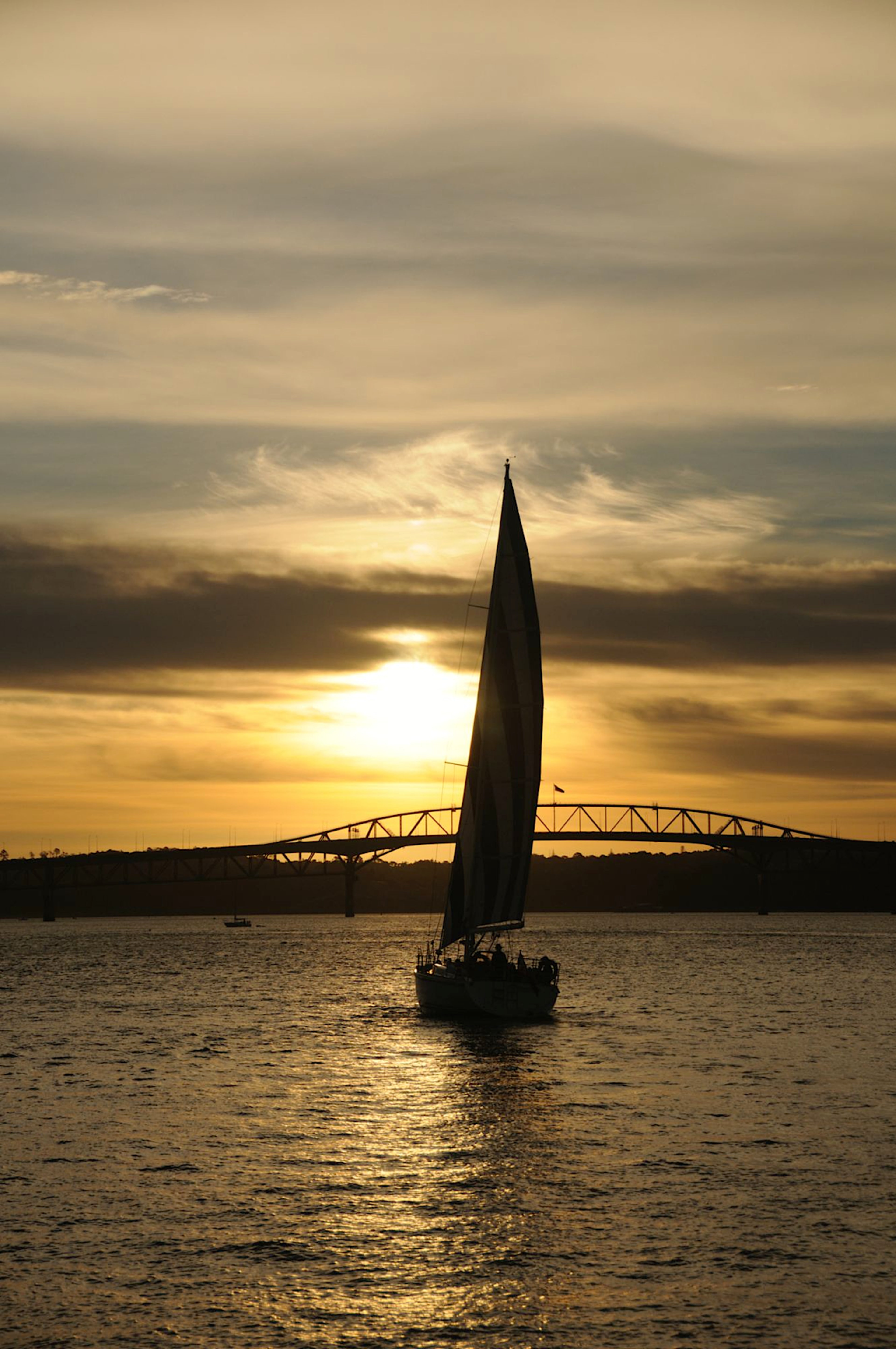 Auckland Harbour Cruise