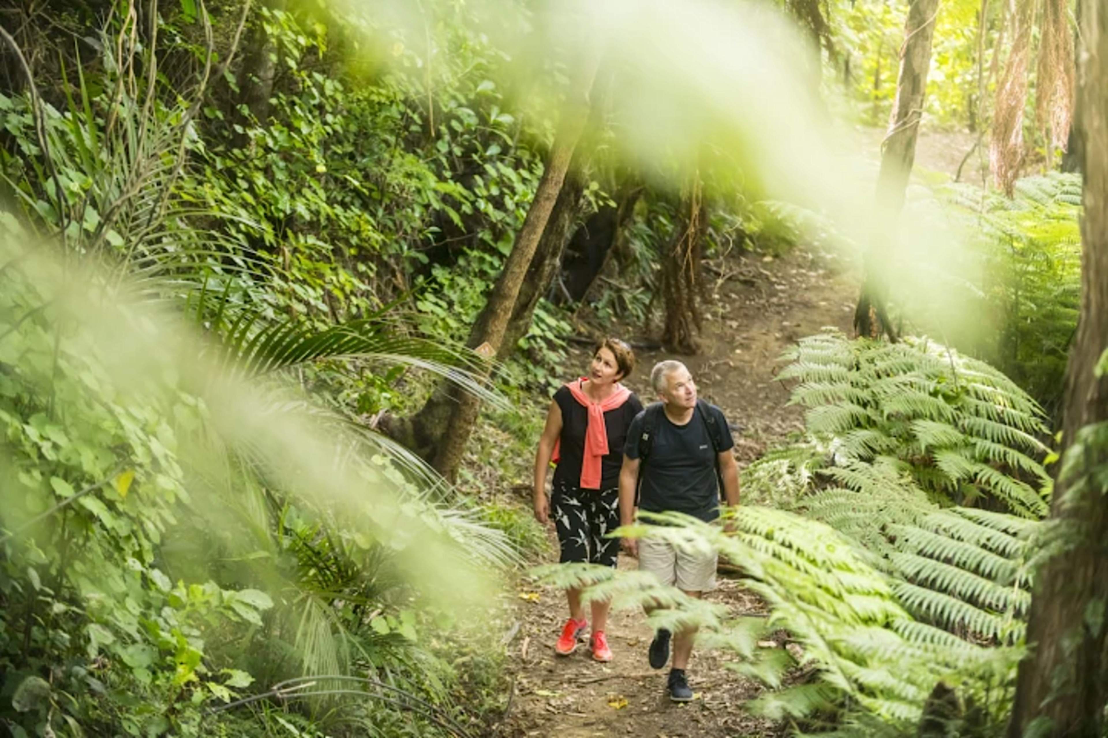 Optional Activities At Bay Of Many Coves