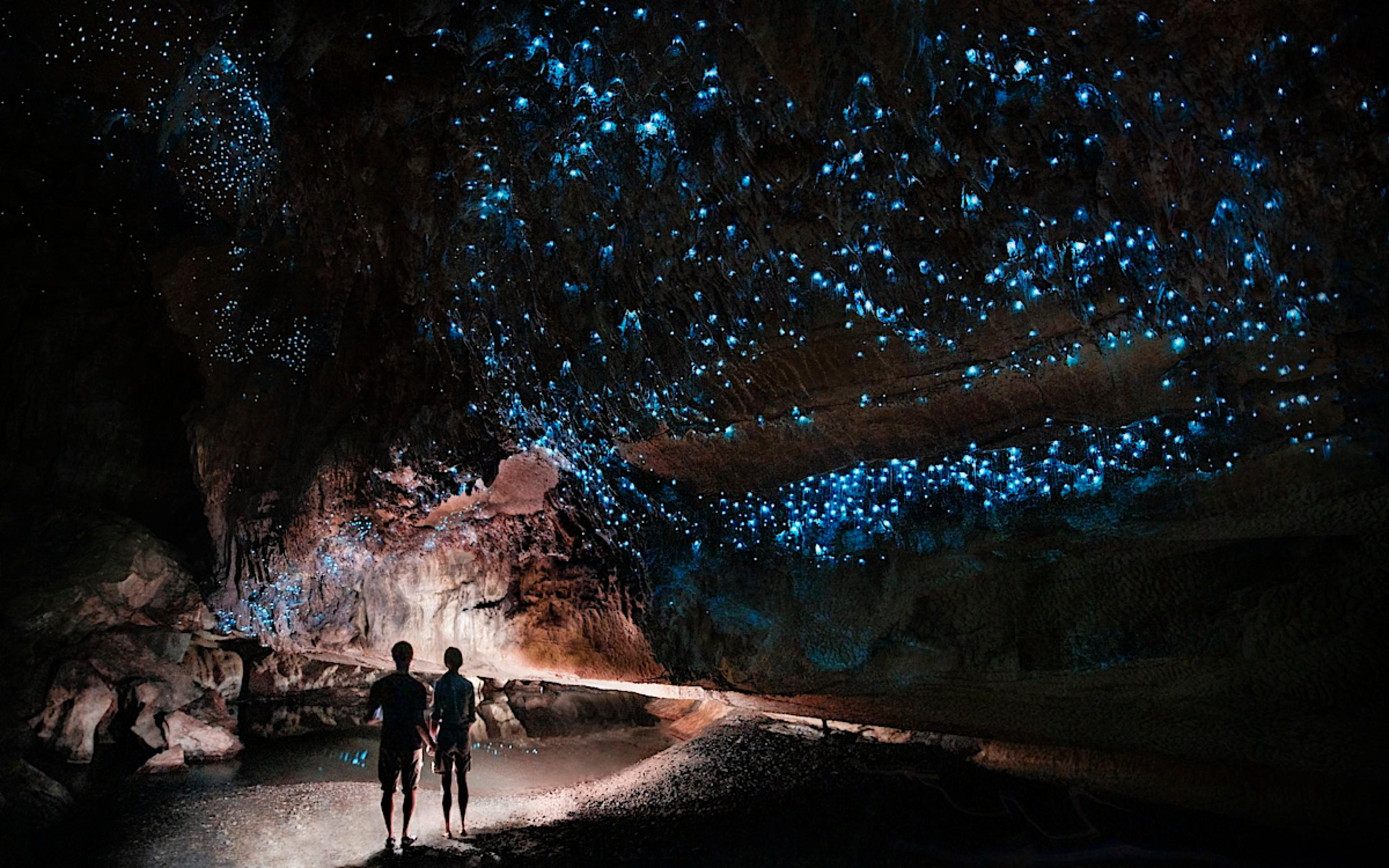 Glowworm Cave