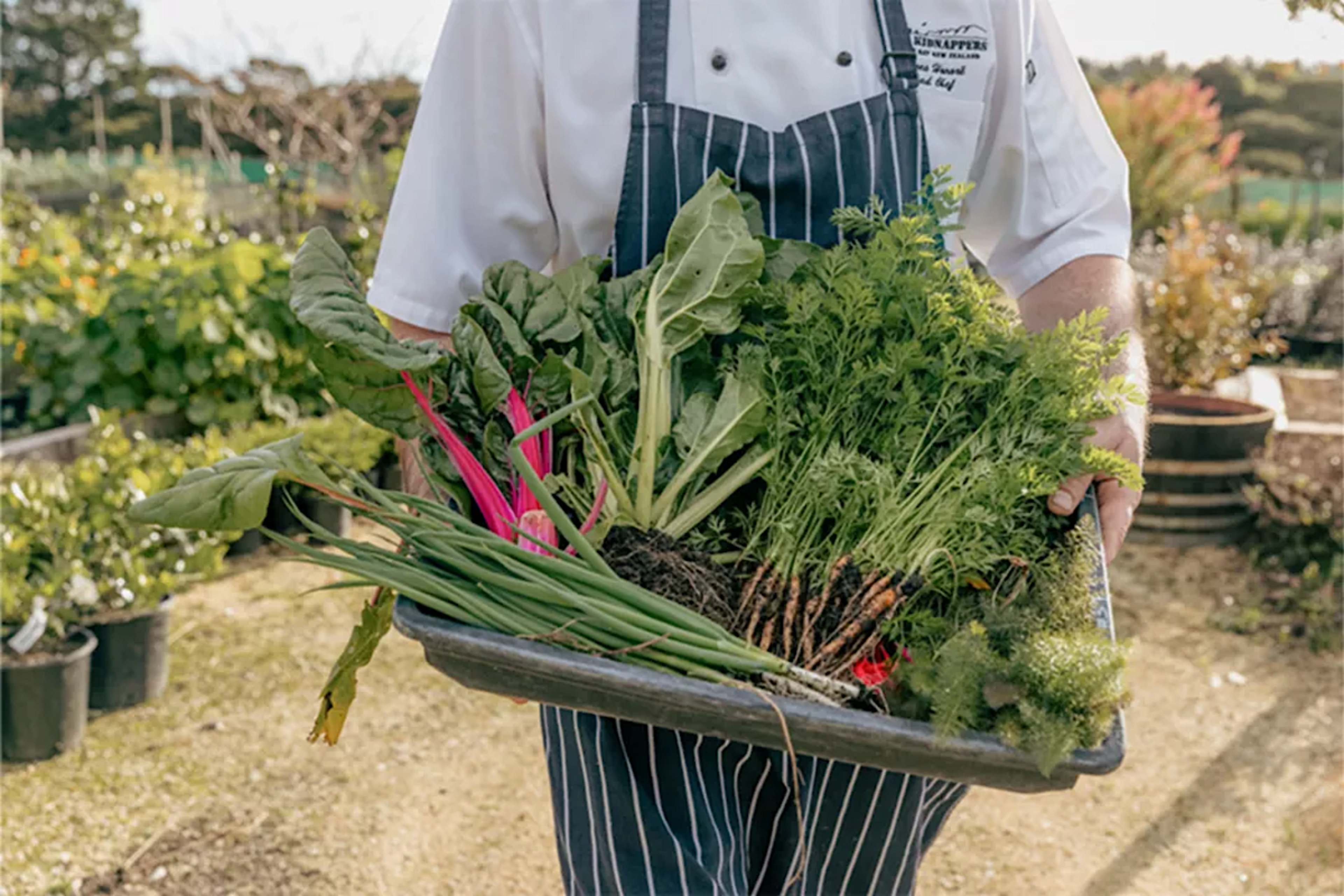 Dining At Cape Kidnappers