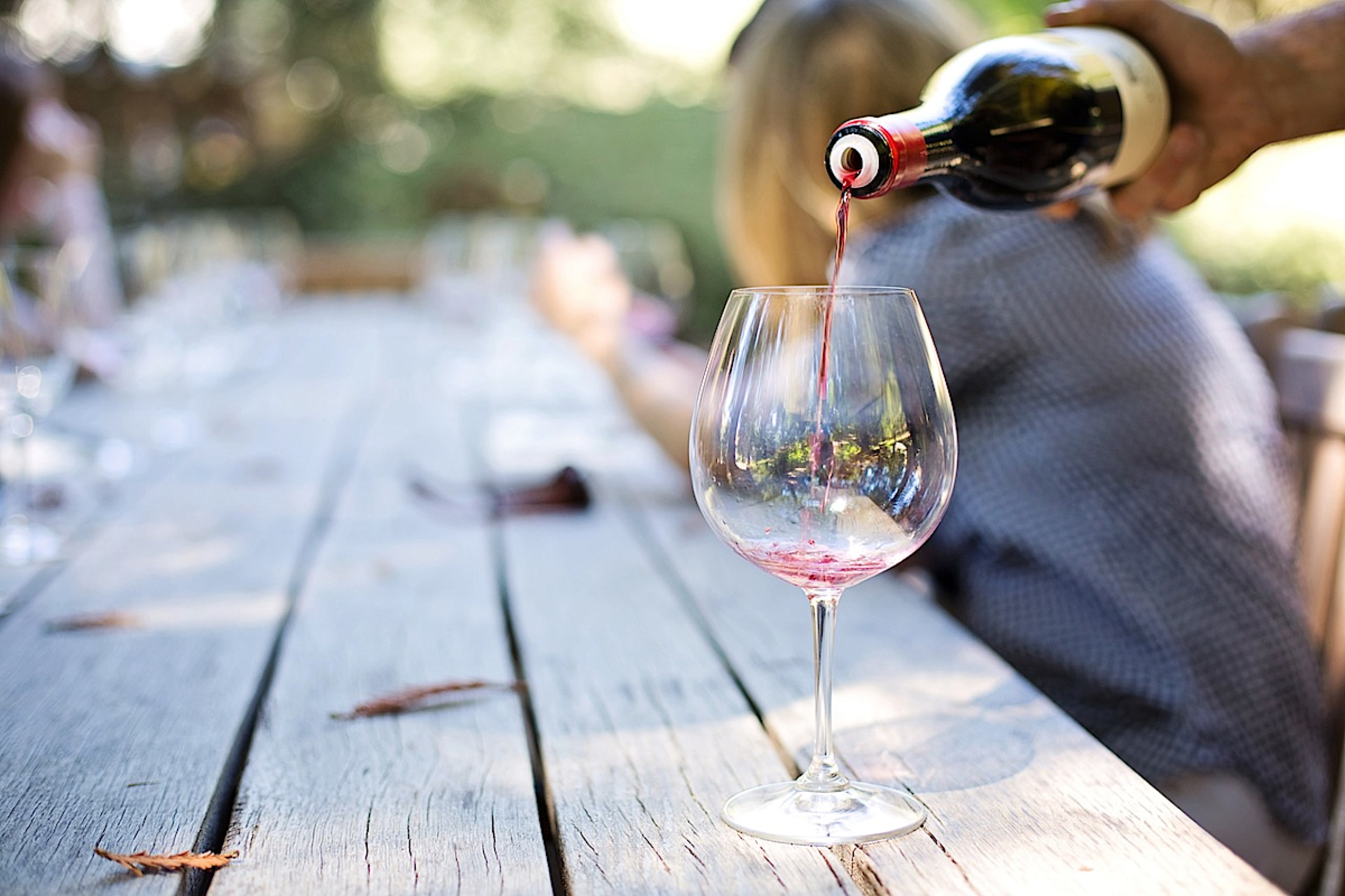 VIP Wine & Gourmet Odyssey