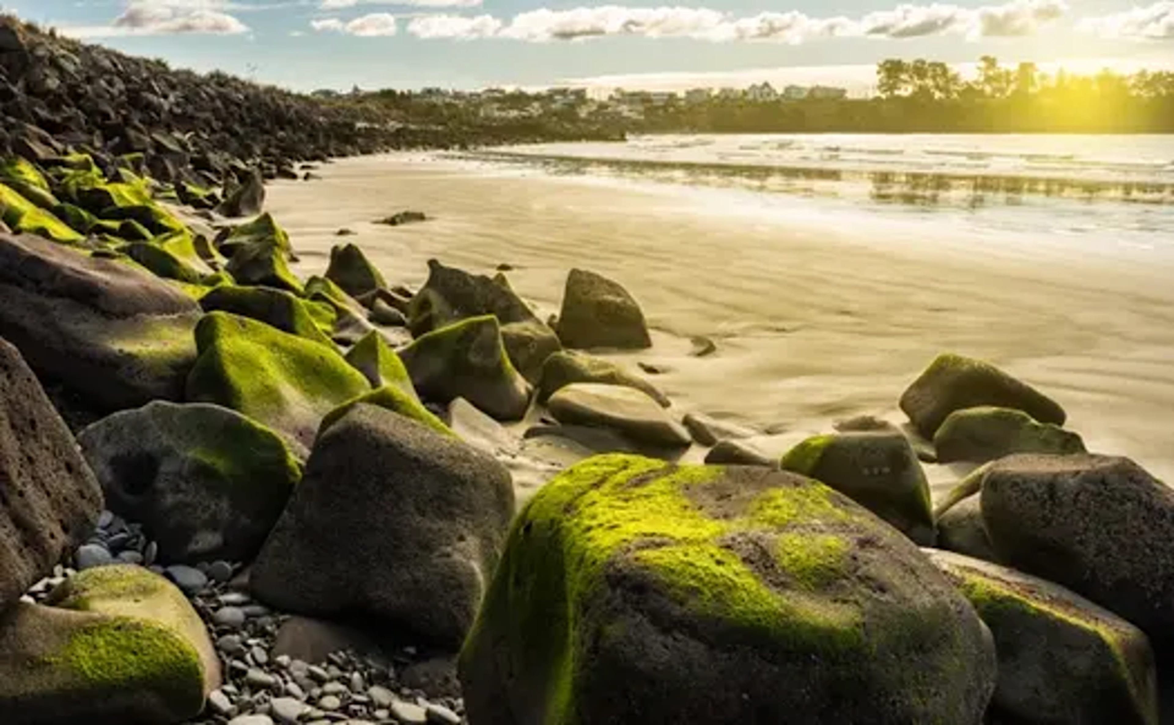 Timaru