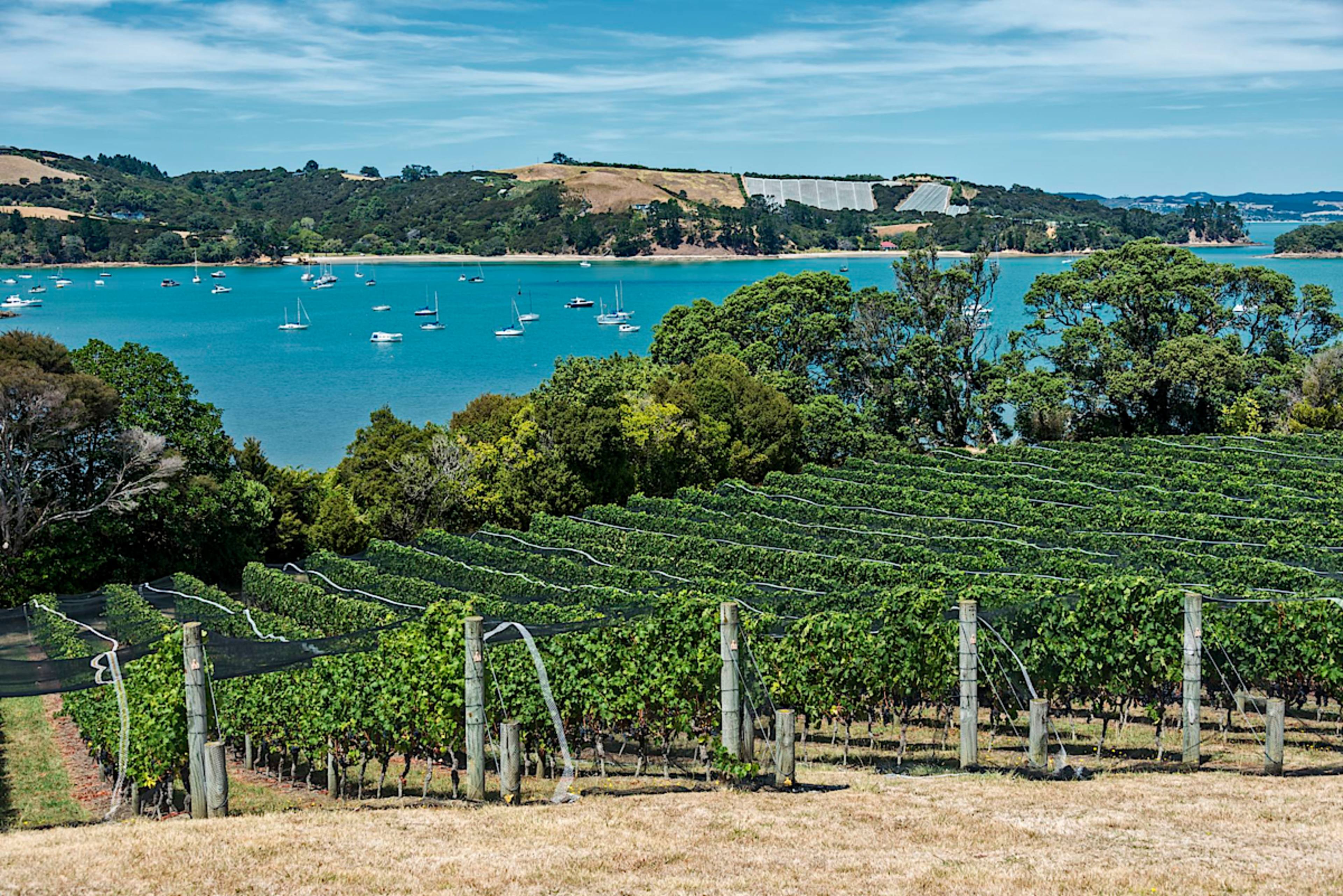 Waiheke Island
