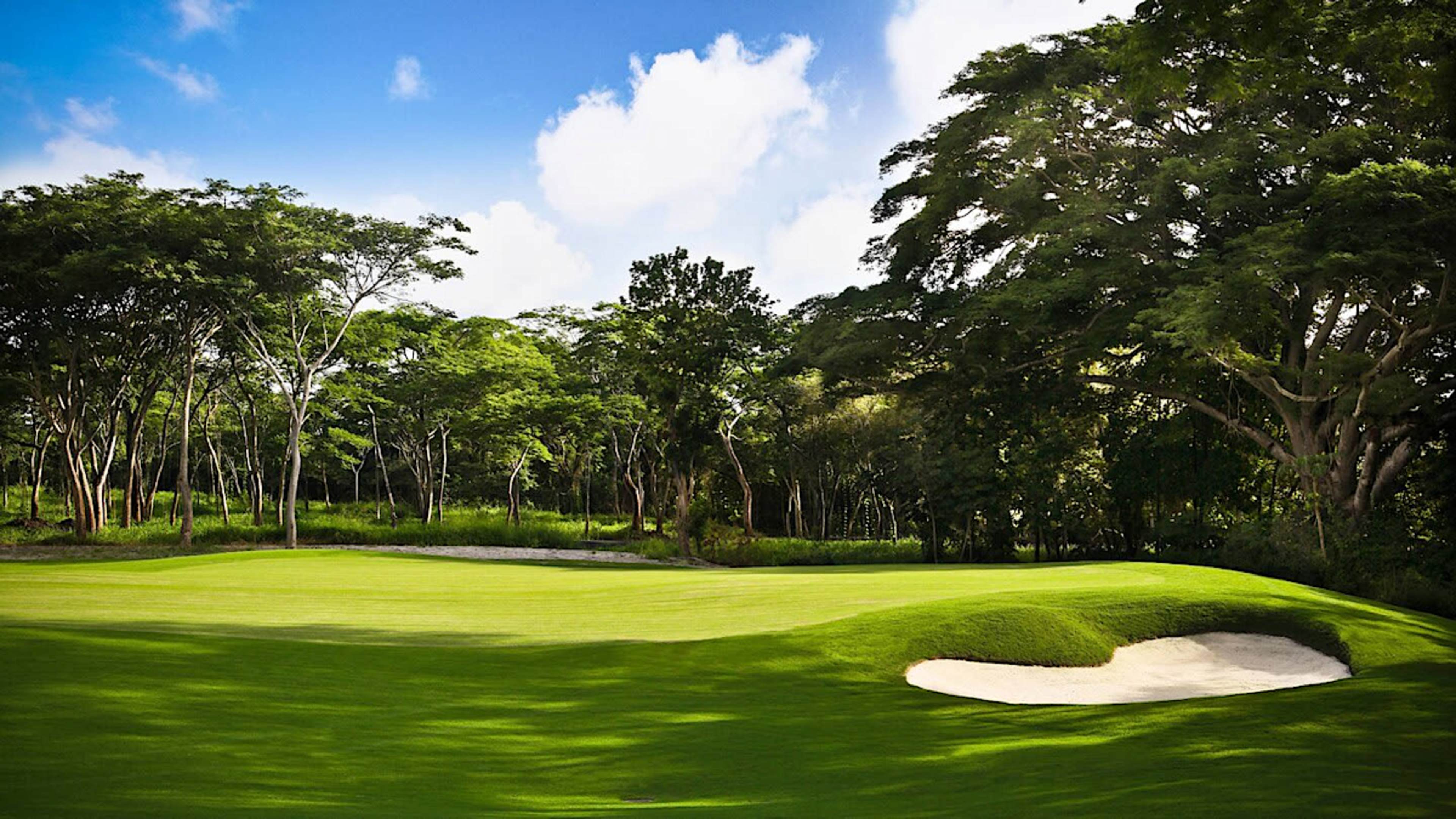 Buenaventura Golf & Beach Resort