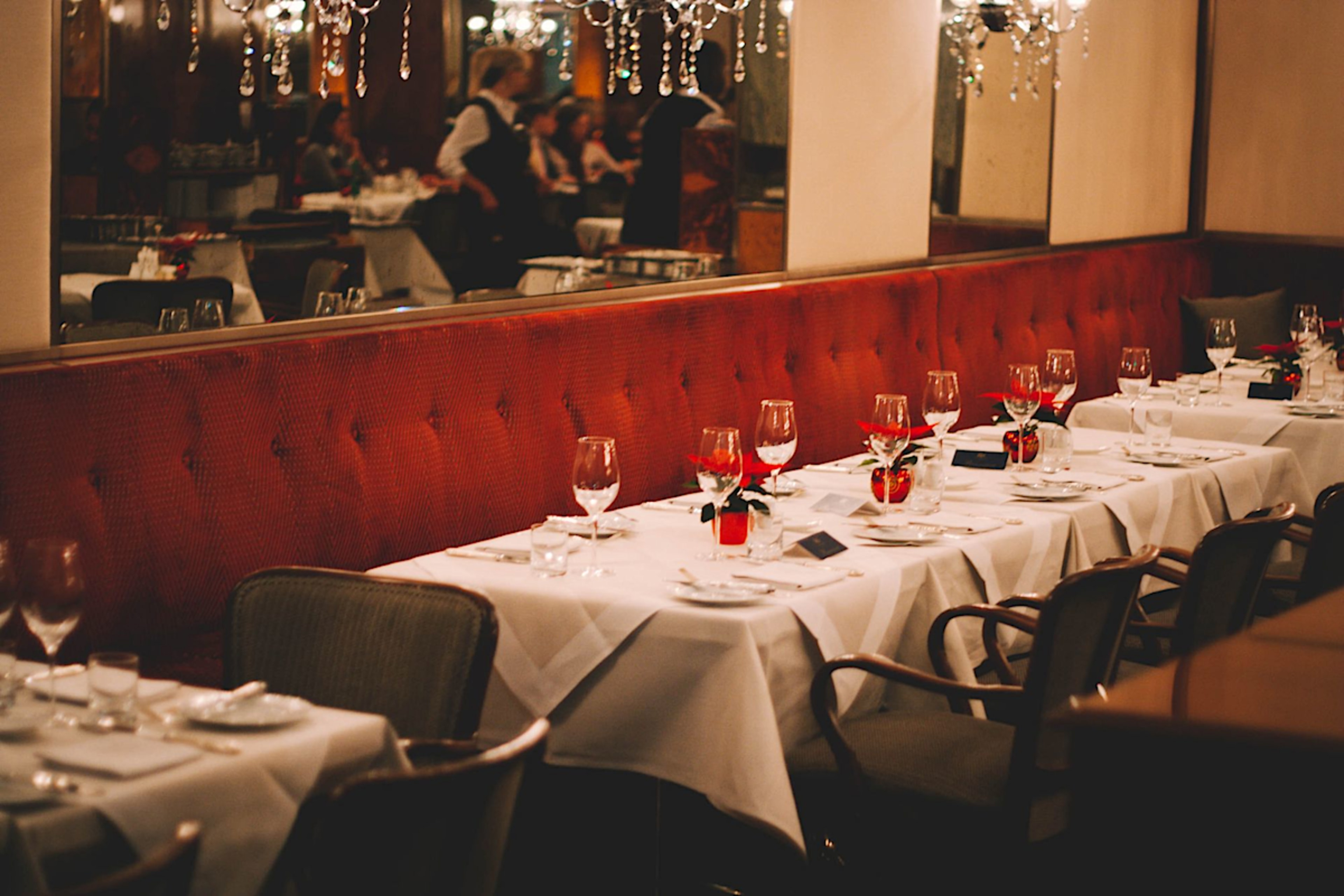 Vienna Dining Recommendations