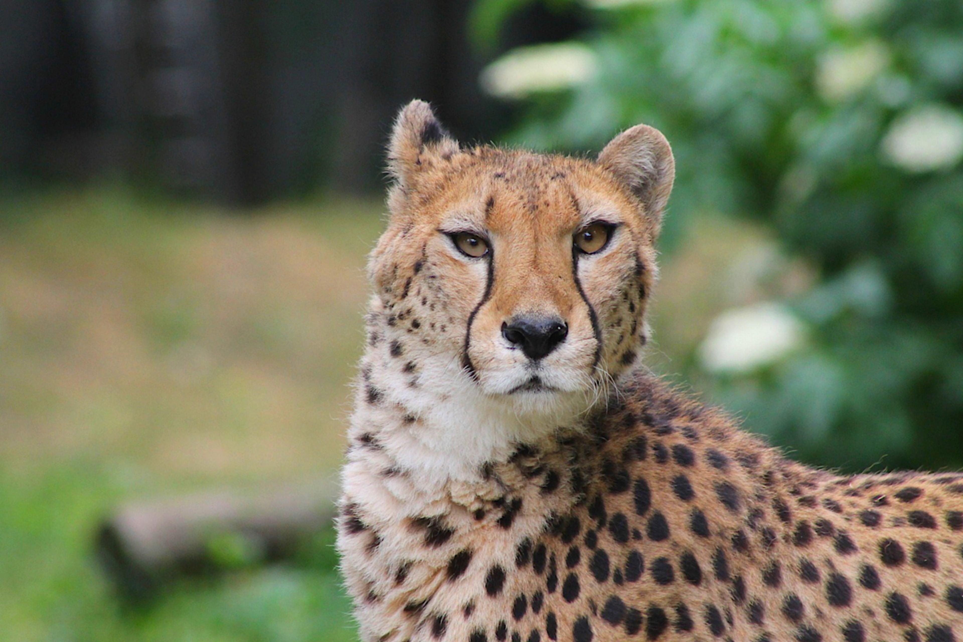 Vienna Zoo