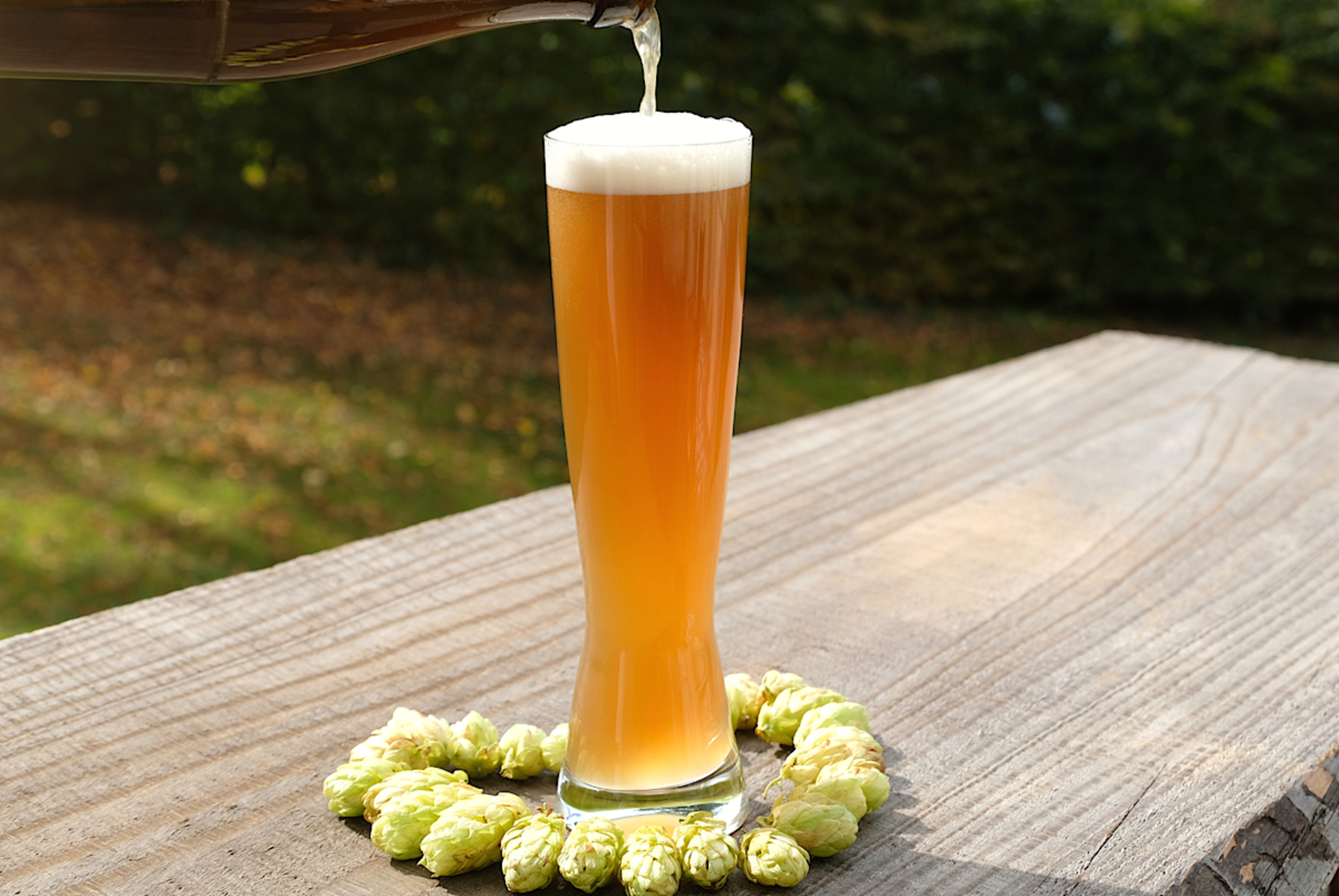 Bavarian Wheat Beer