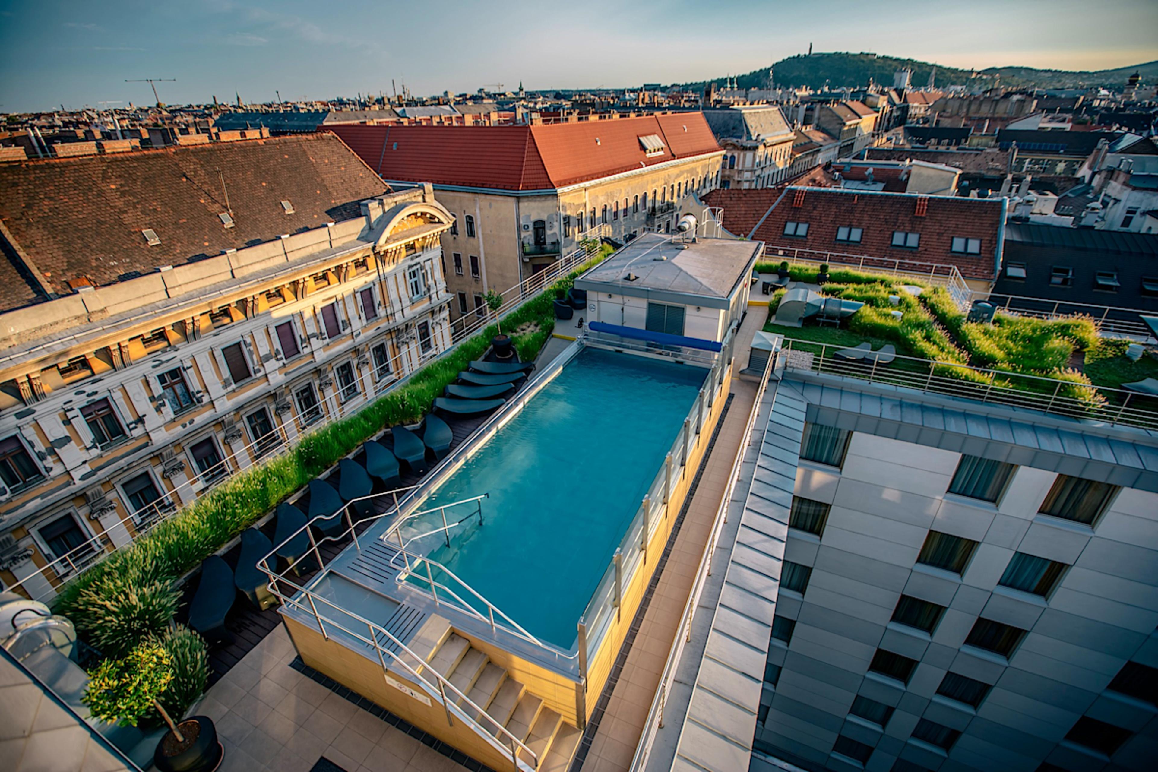Rooftop Pool