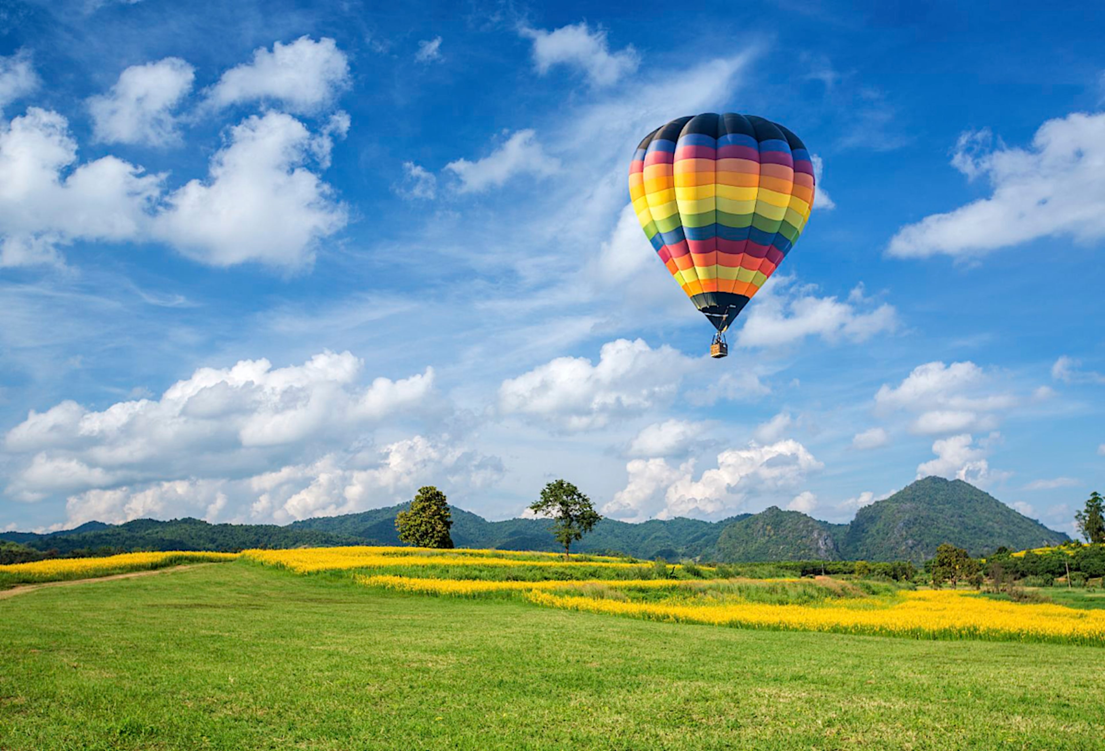 Hot Air Ballooning Over Vineyards