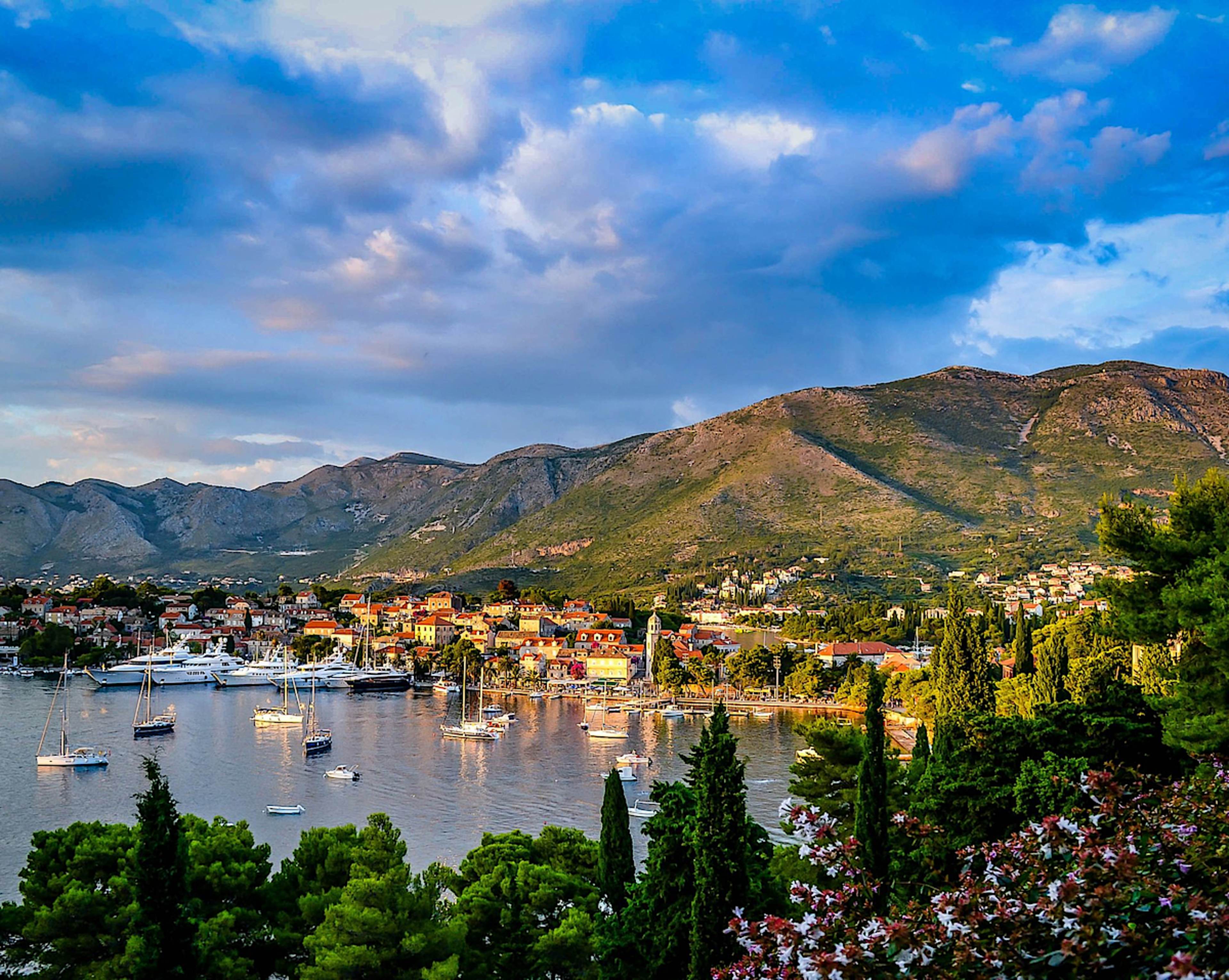 Dalmatian Coast