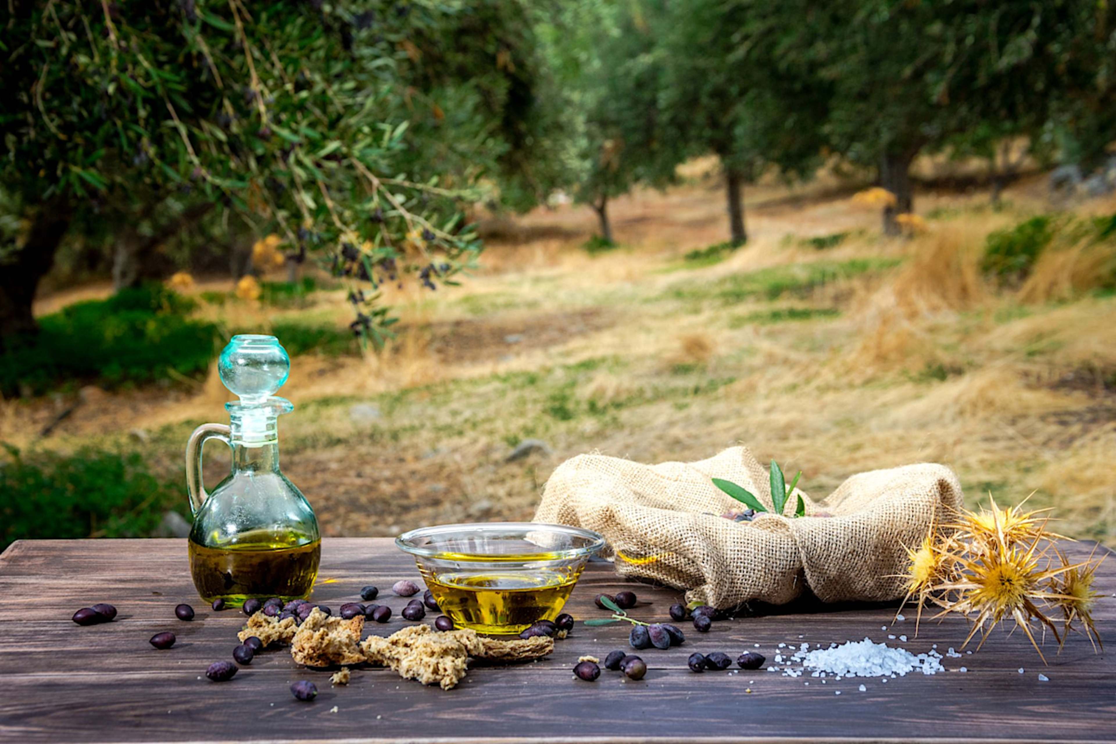 Olive Oil Tasting