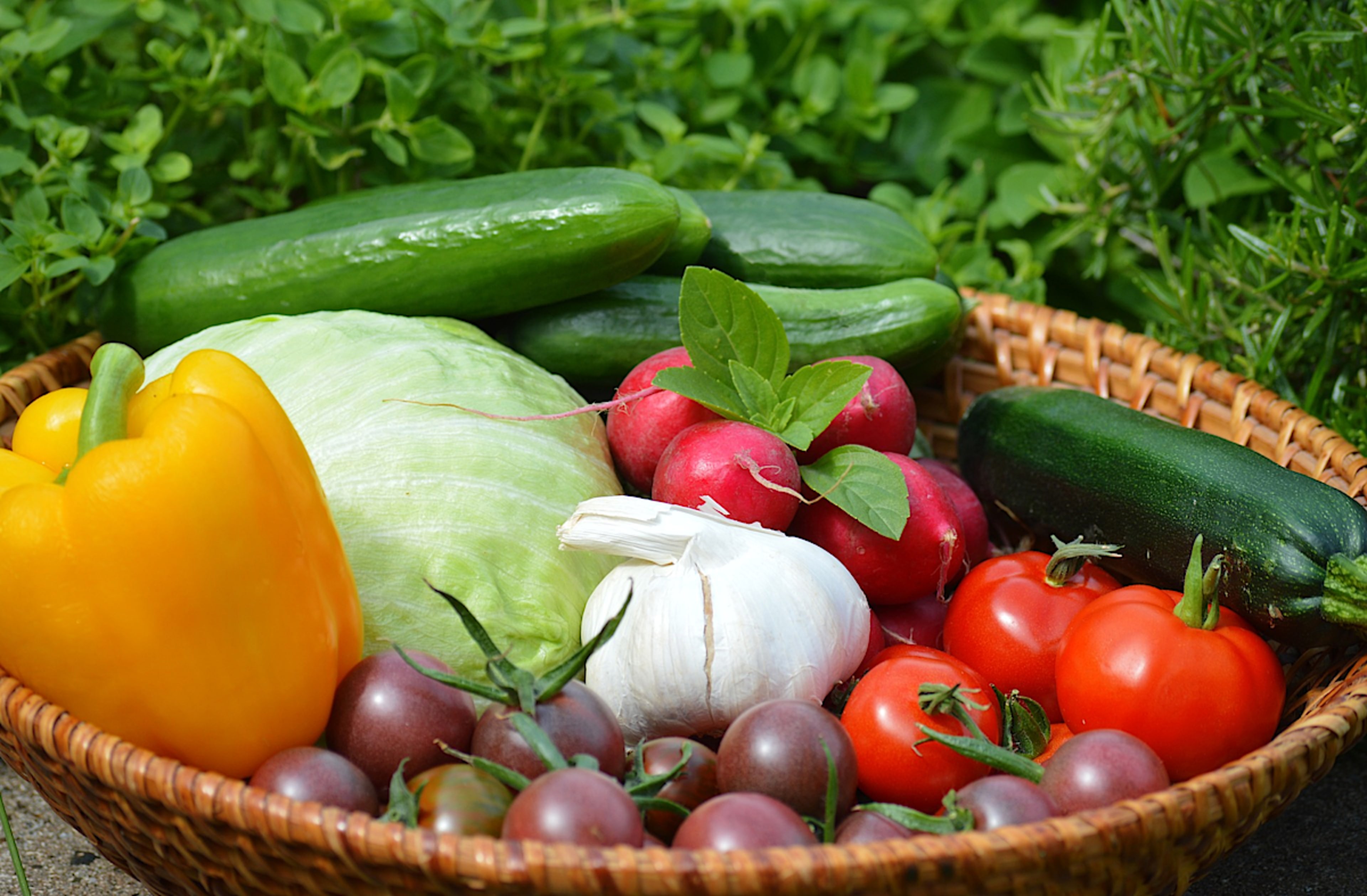 Farm-to-Table Culinary Experience