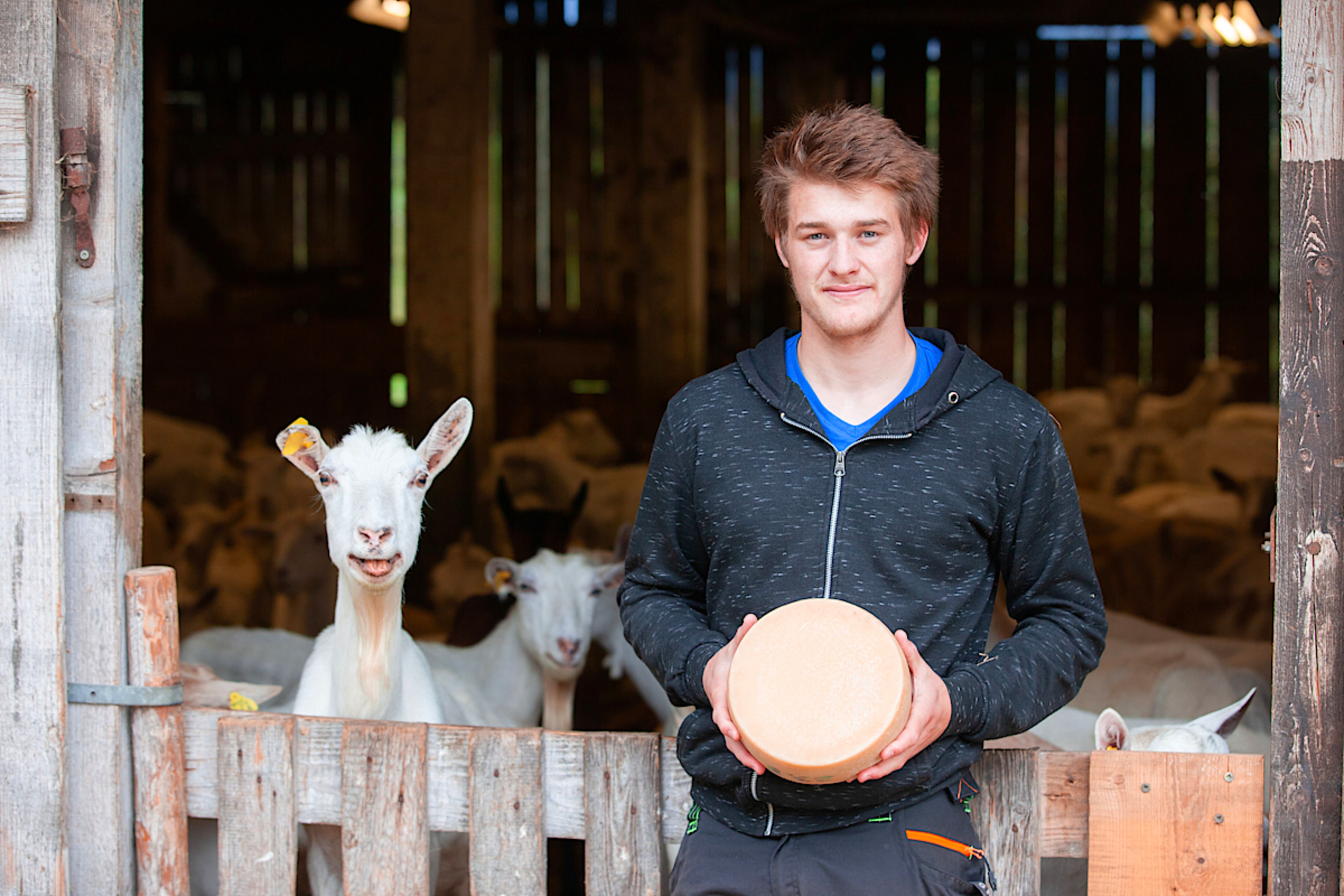 Slovenian Dairy Farmer