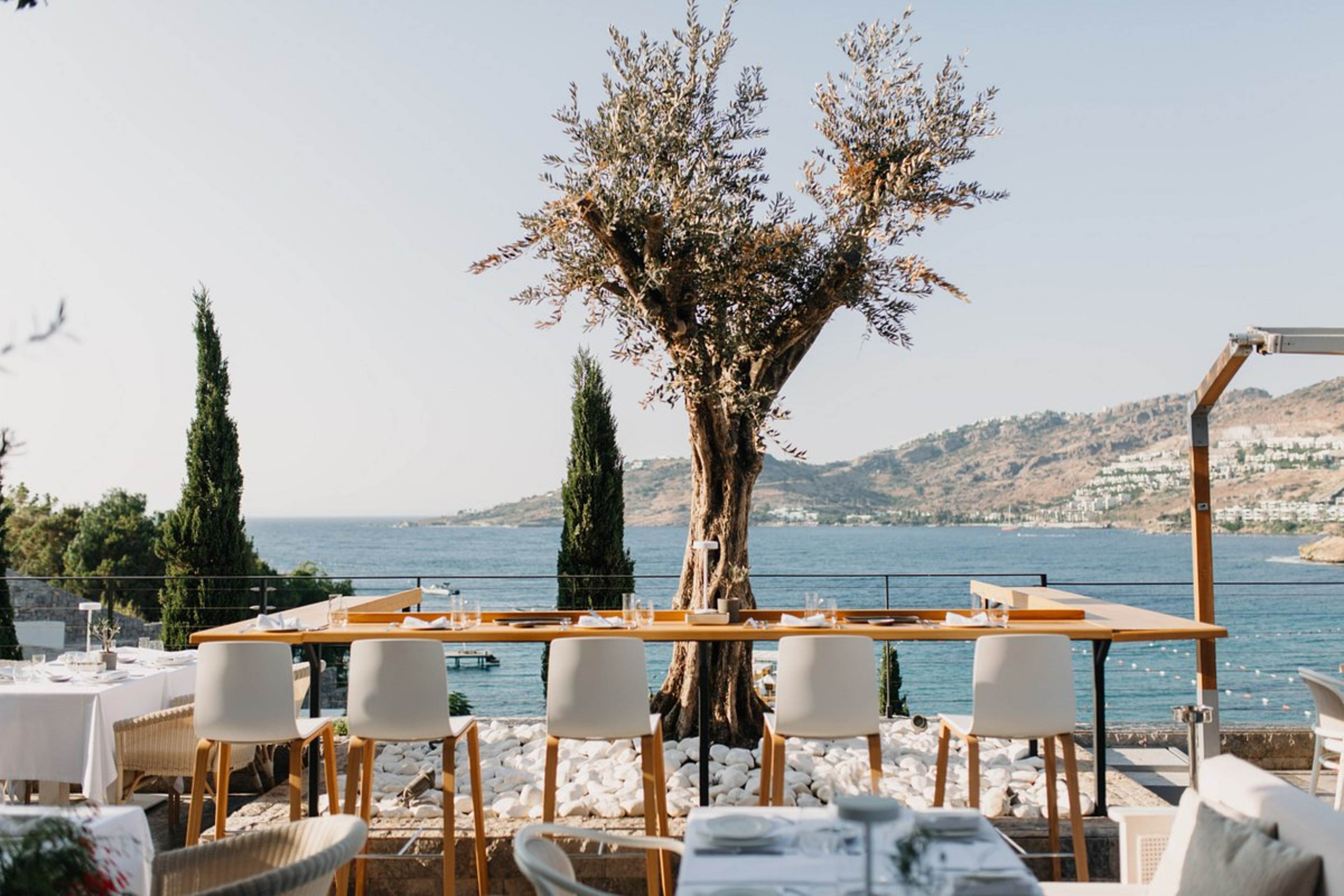 Kitchen Restaurant