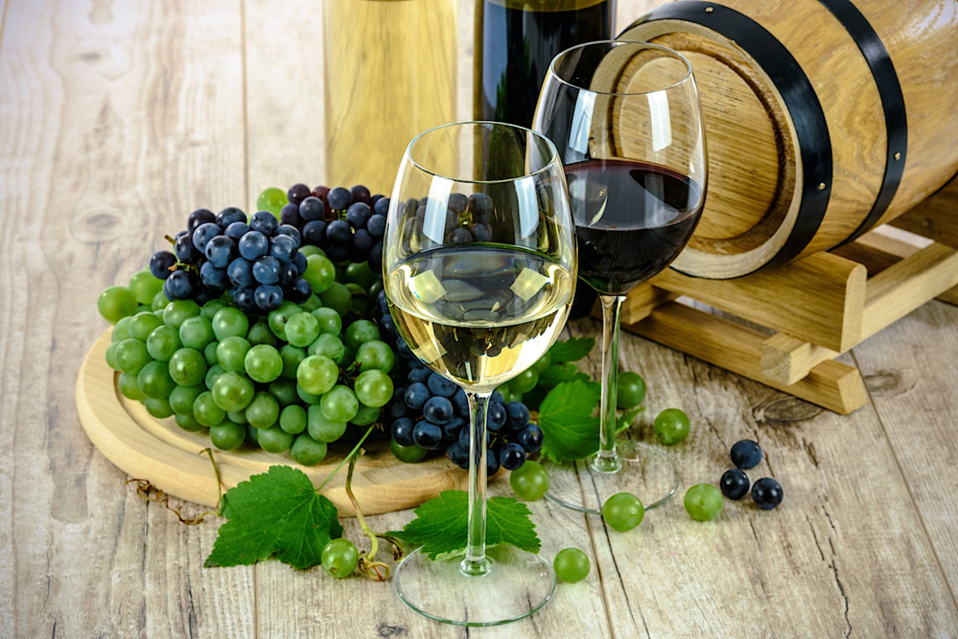 Red and White Wine