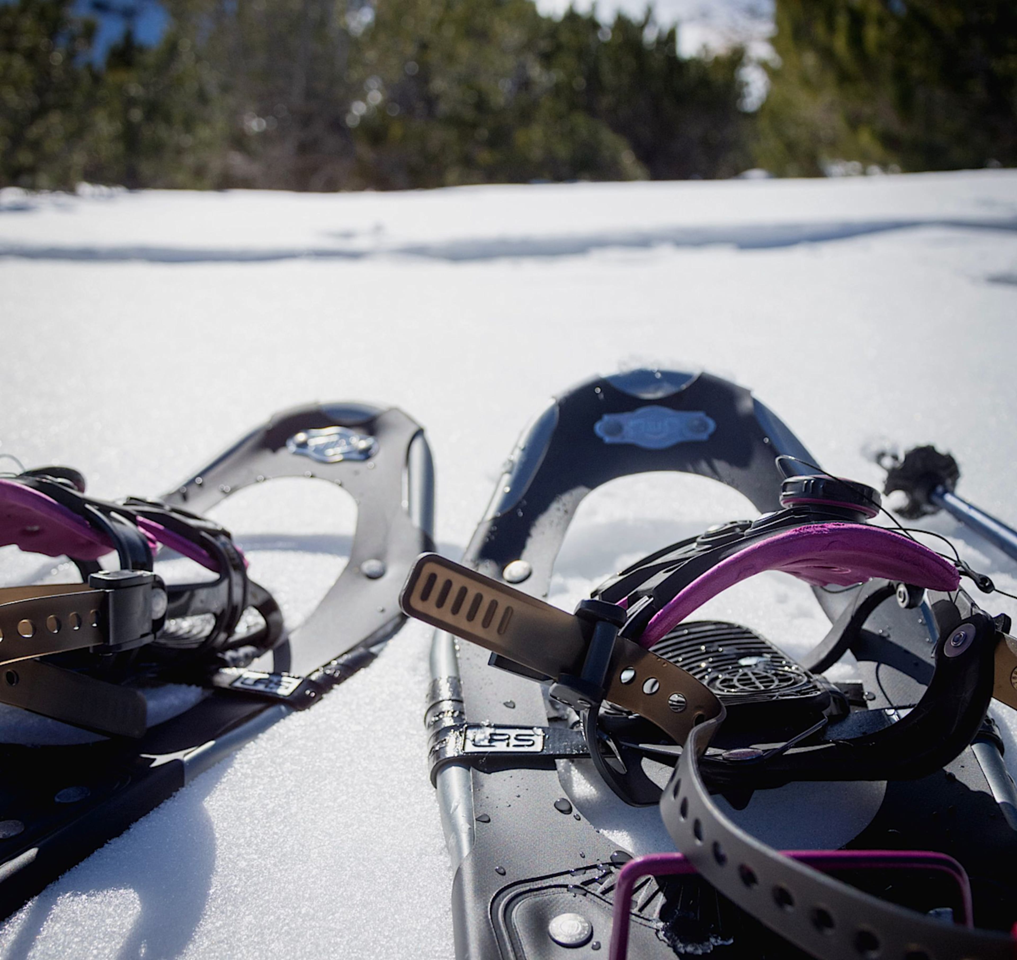 Snowshoeing
