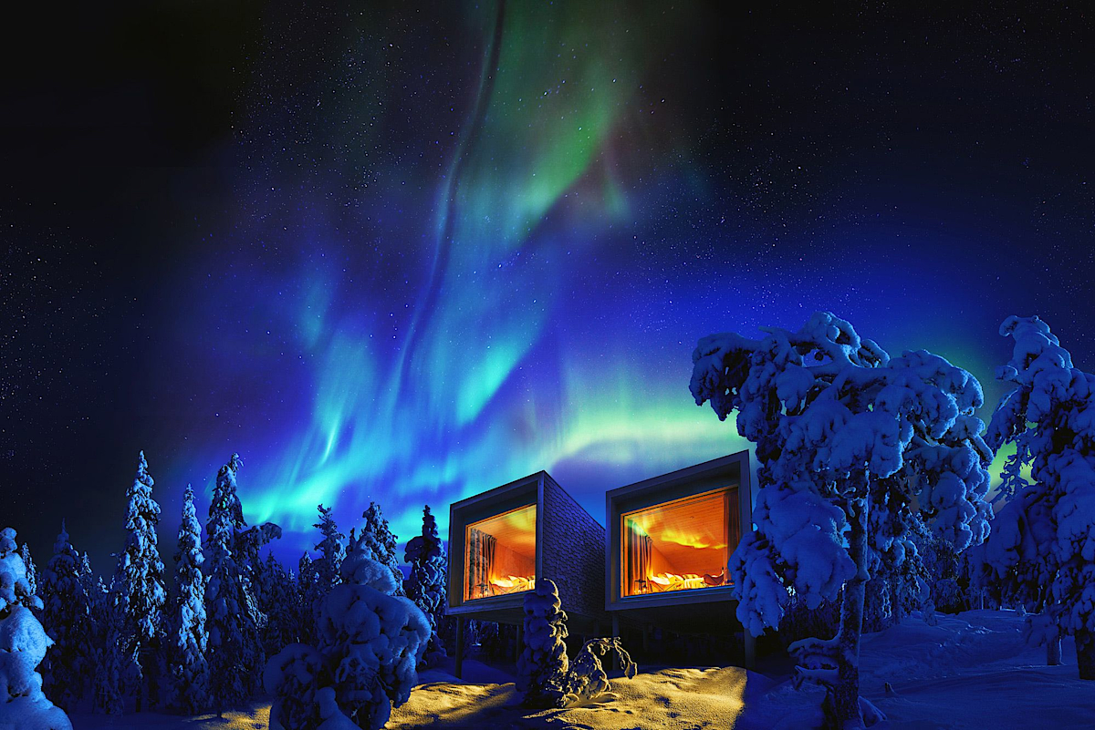 Arctic TreeHouse Hotel