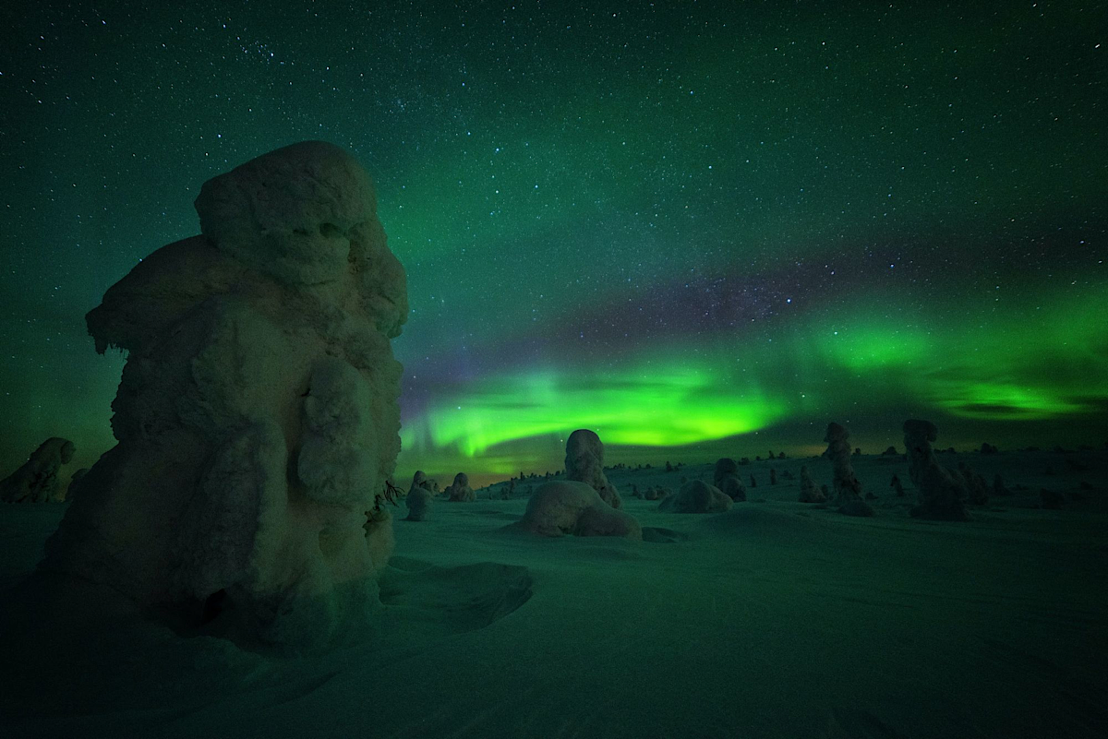 Northern Lights Hunt