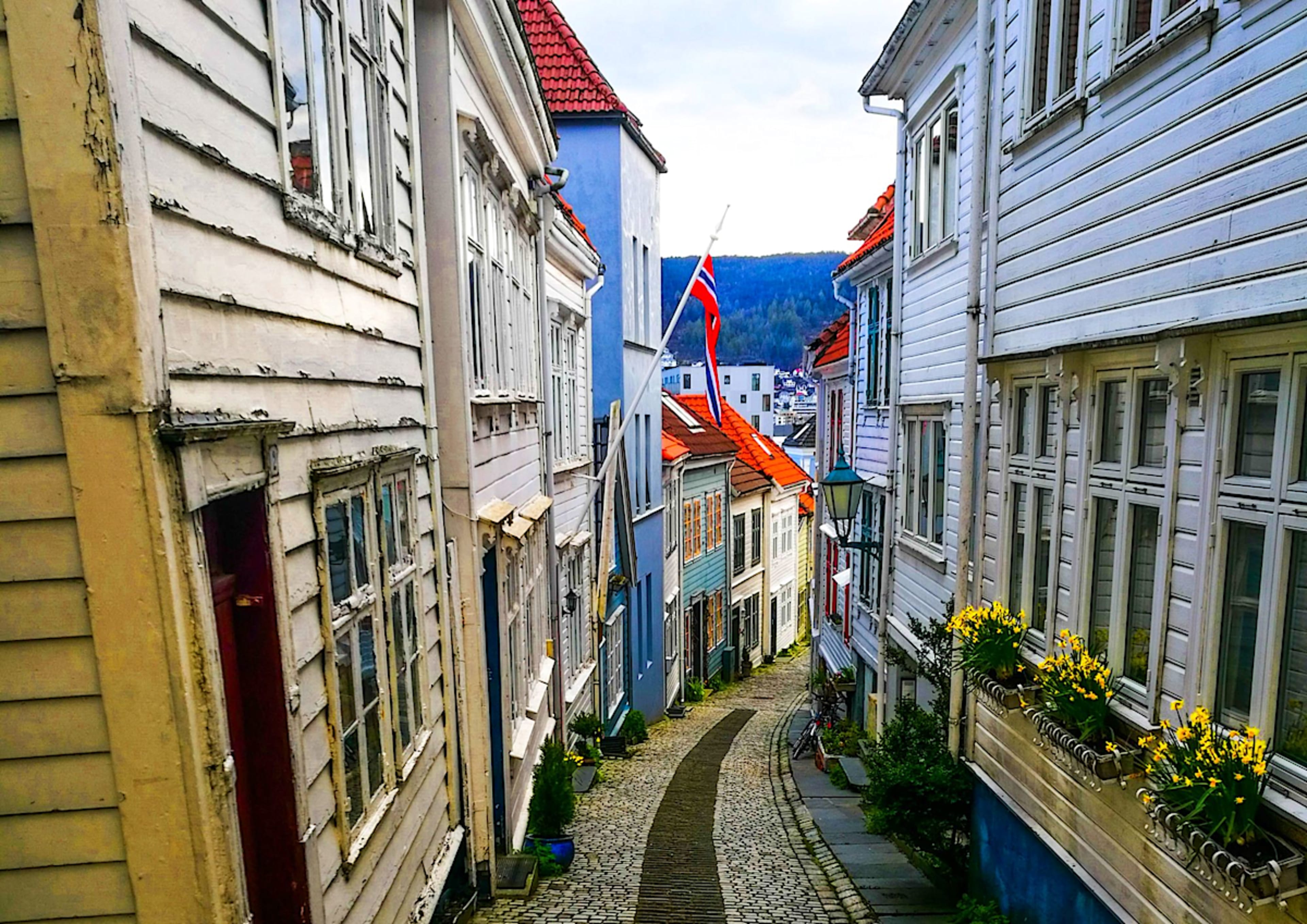 Independent Discovery of Bergen