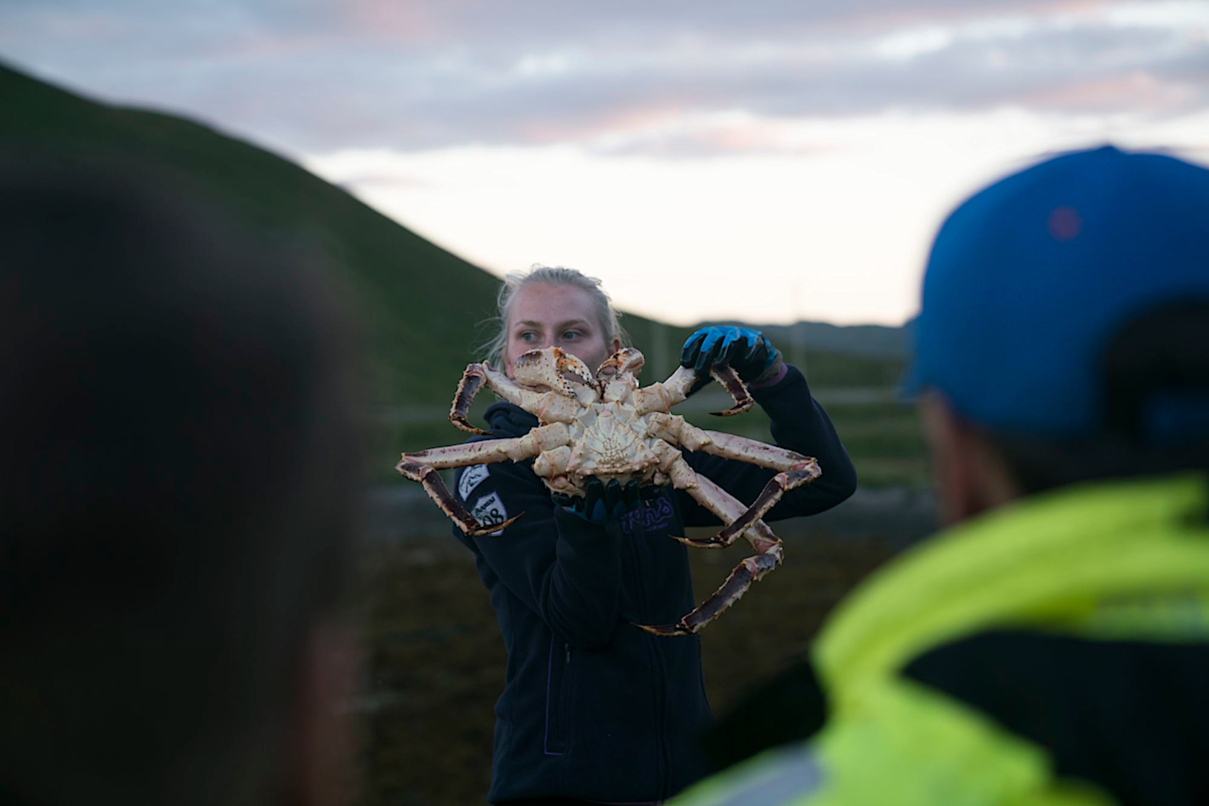 King Crab Fishing