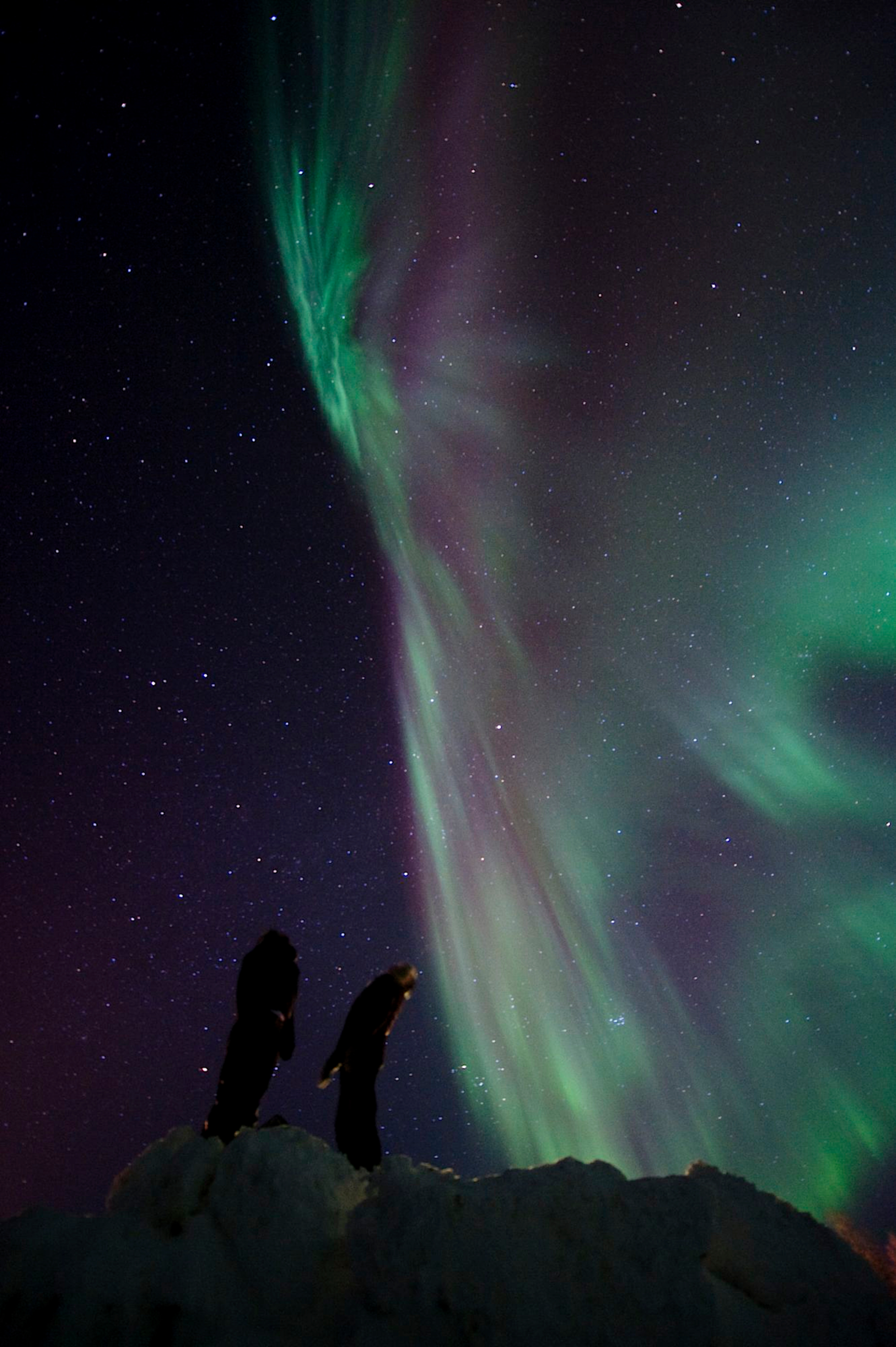 Northern Lights by Dogsled