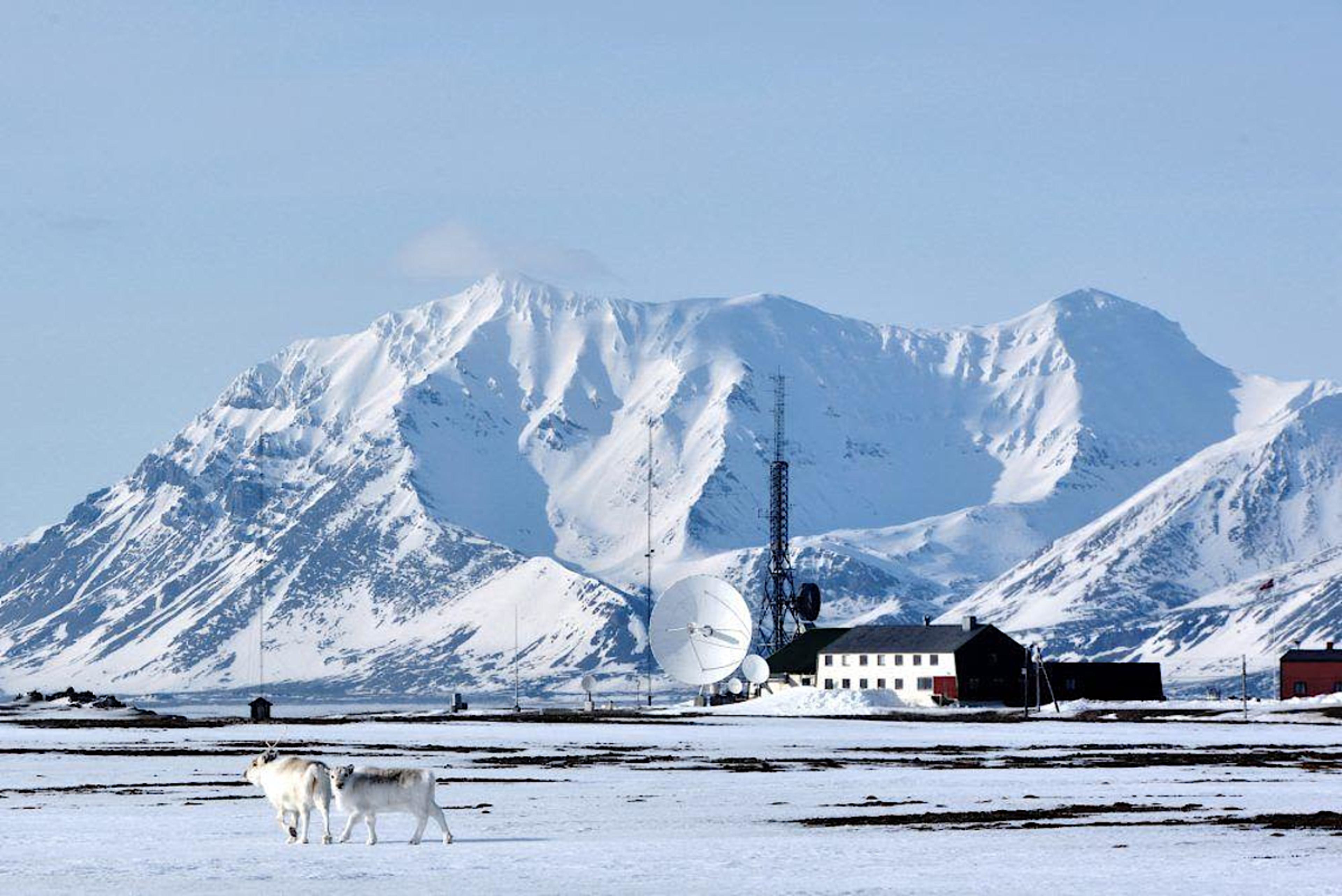 Basecamp Hotel Longyearbyen