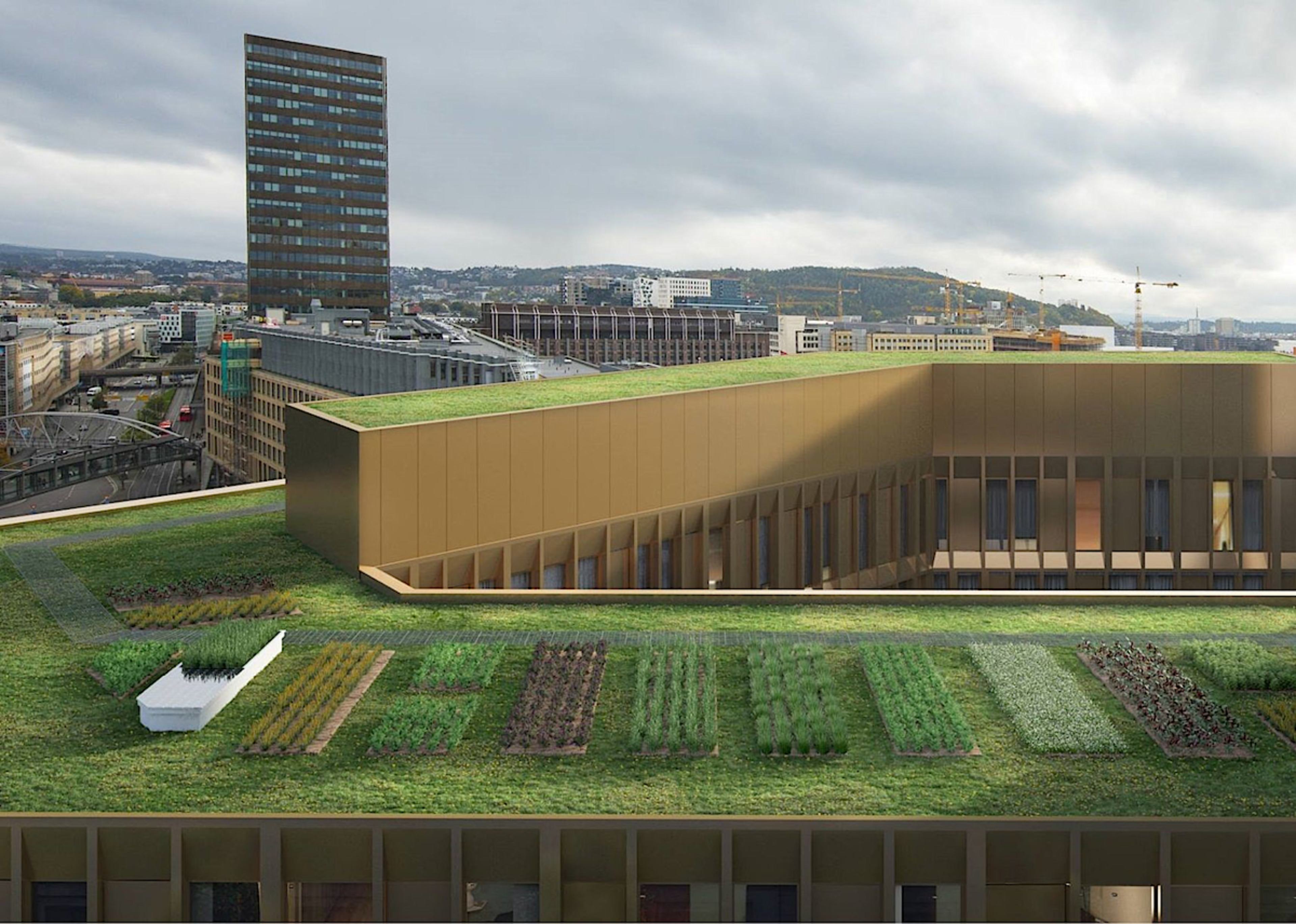 Rooftop GrowHub