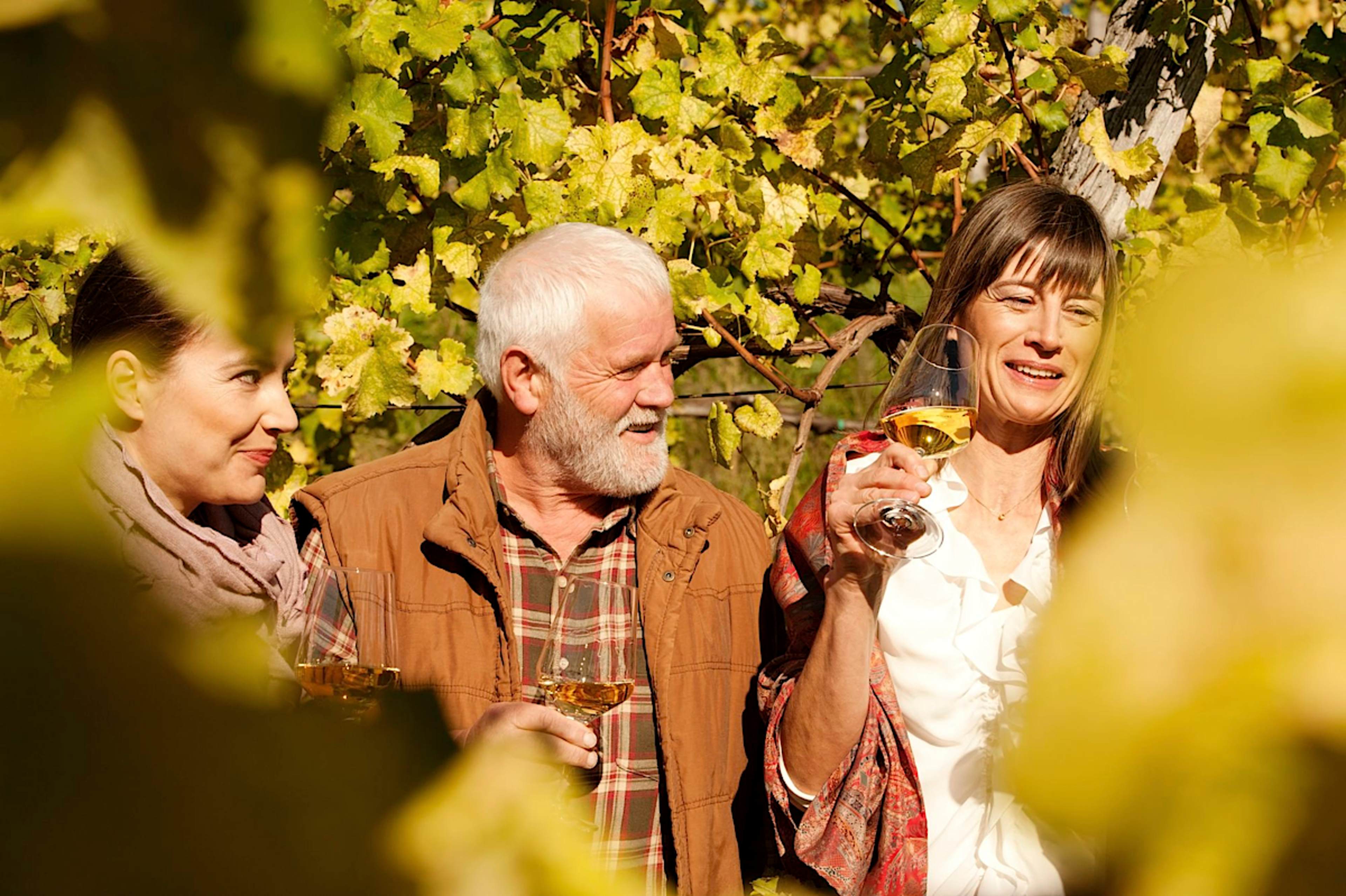 Wine Tasting