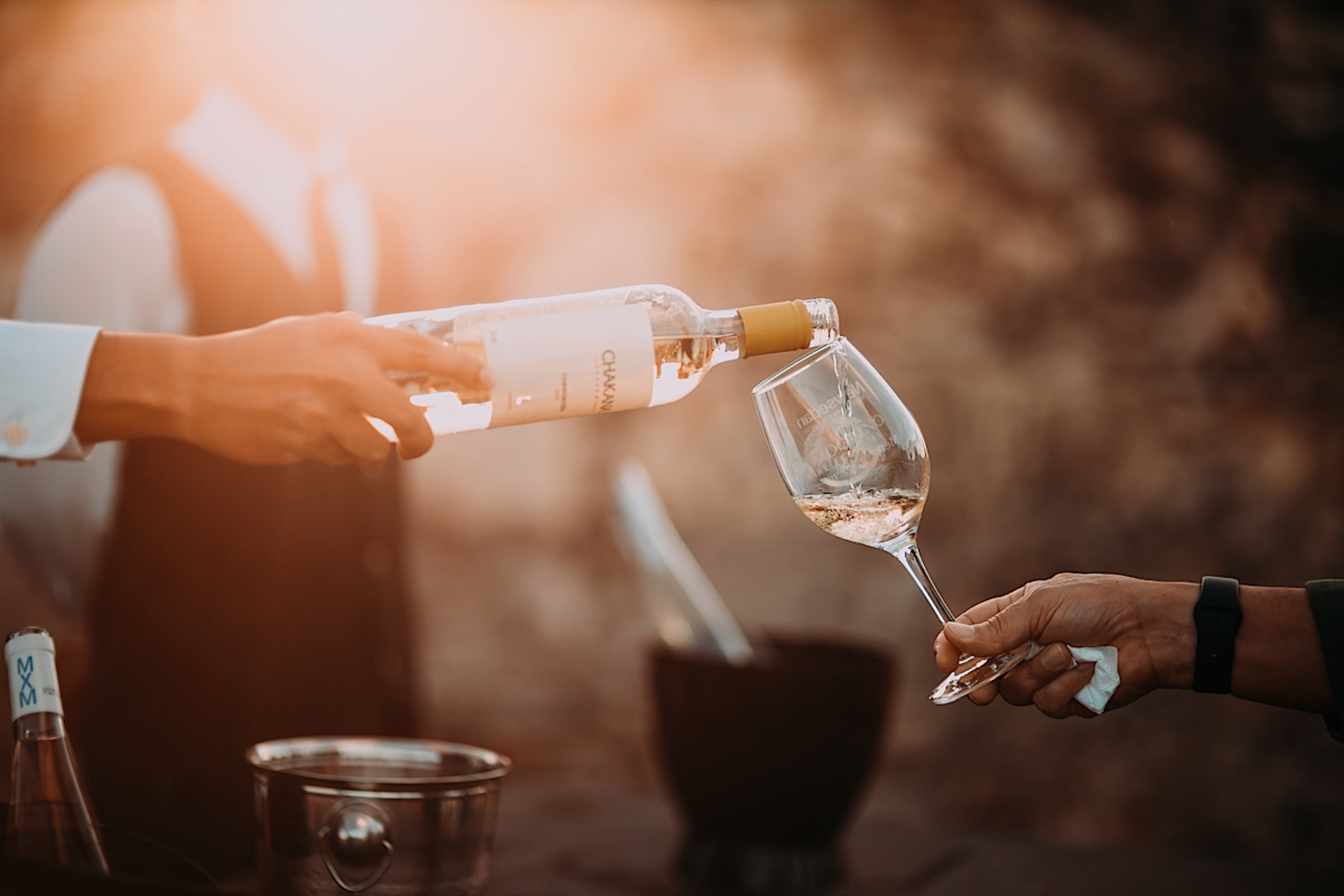 Bordeaux wine tasting