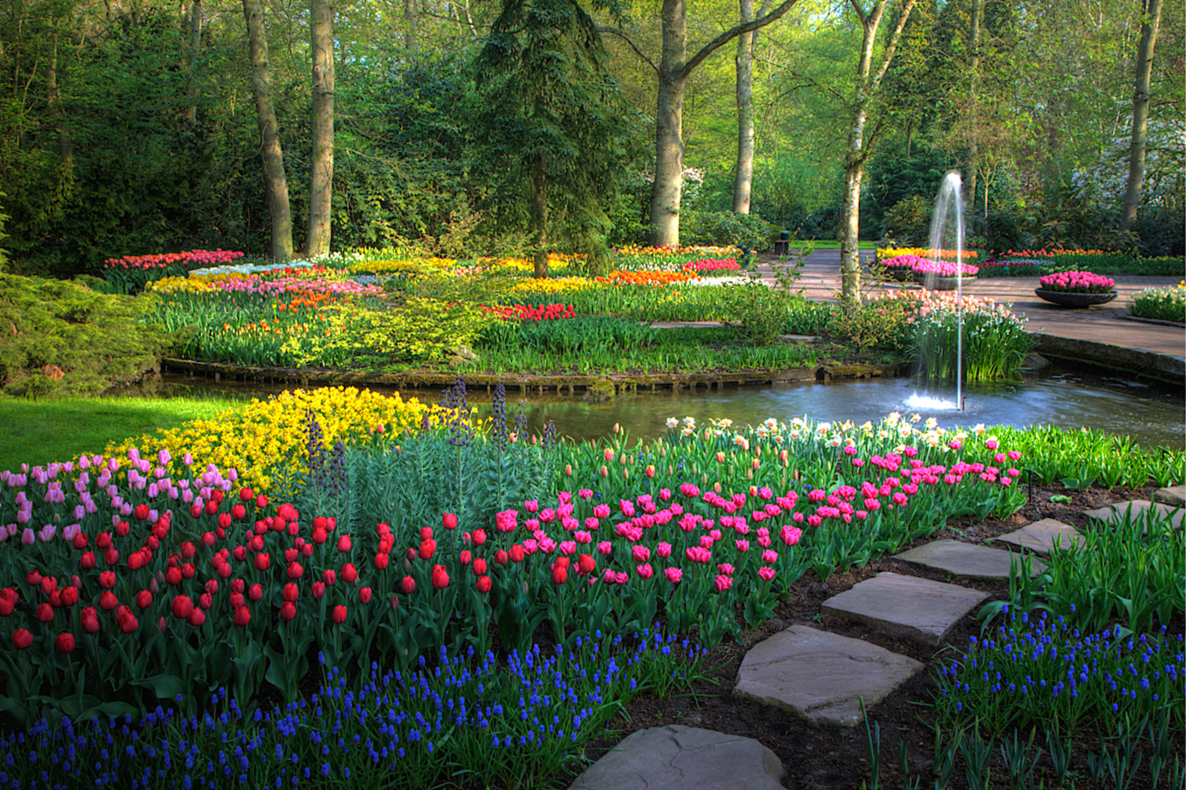 Keukenhof