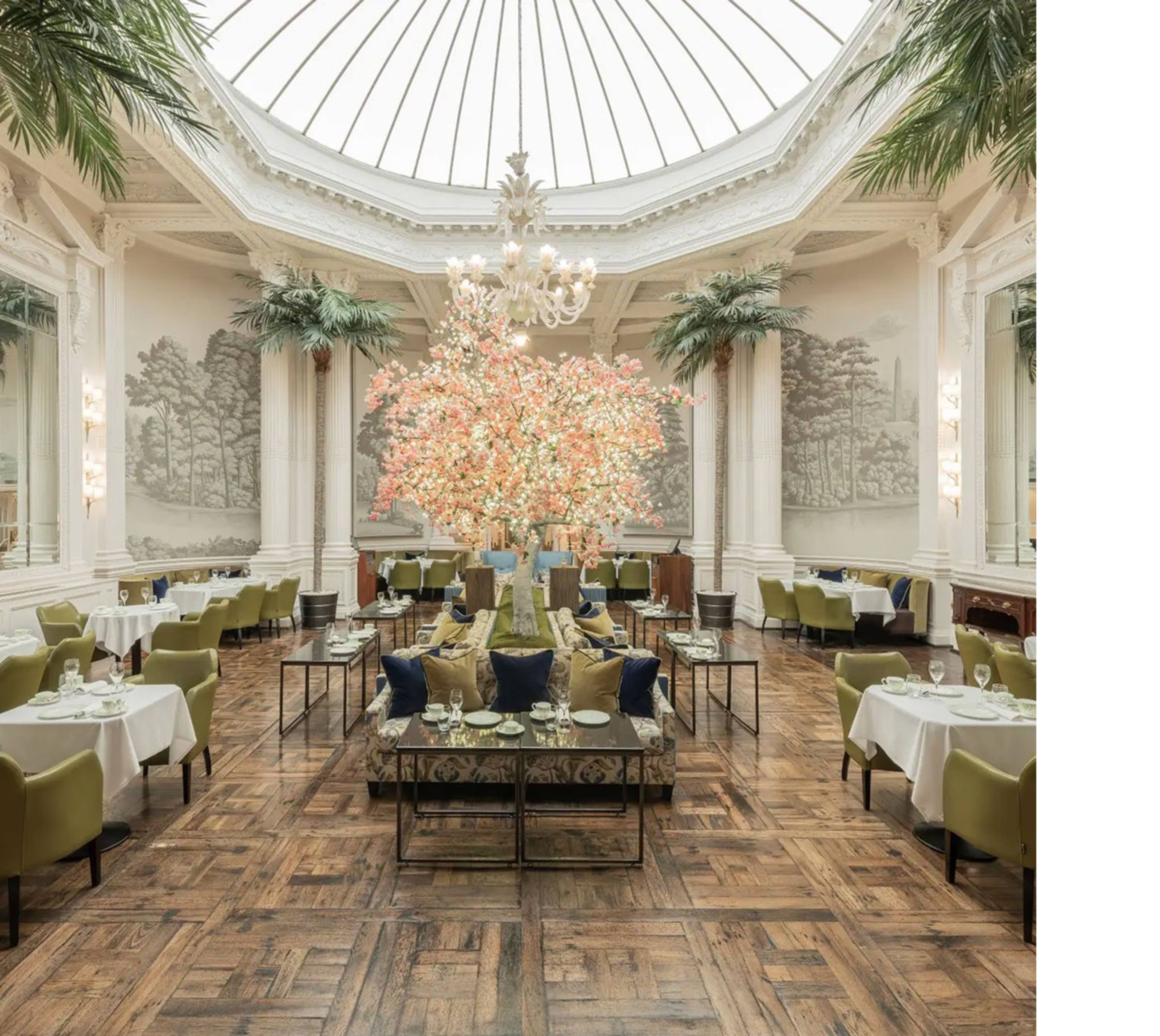Afternoon Tea At Palm Court